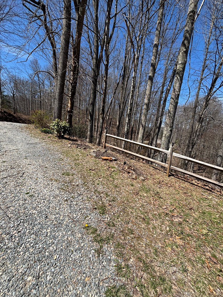 74 Hemlock Lane Topton, NC 28781 - Photo 23 of 28