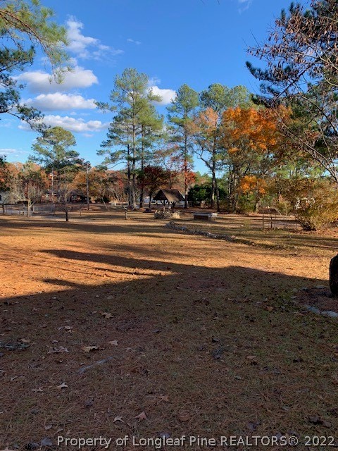 2250 Docs Road Lillington, NC 27546 - Photo 23 of 26 Gallery Image 23