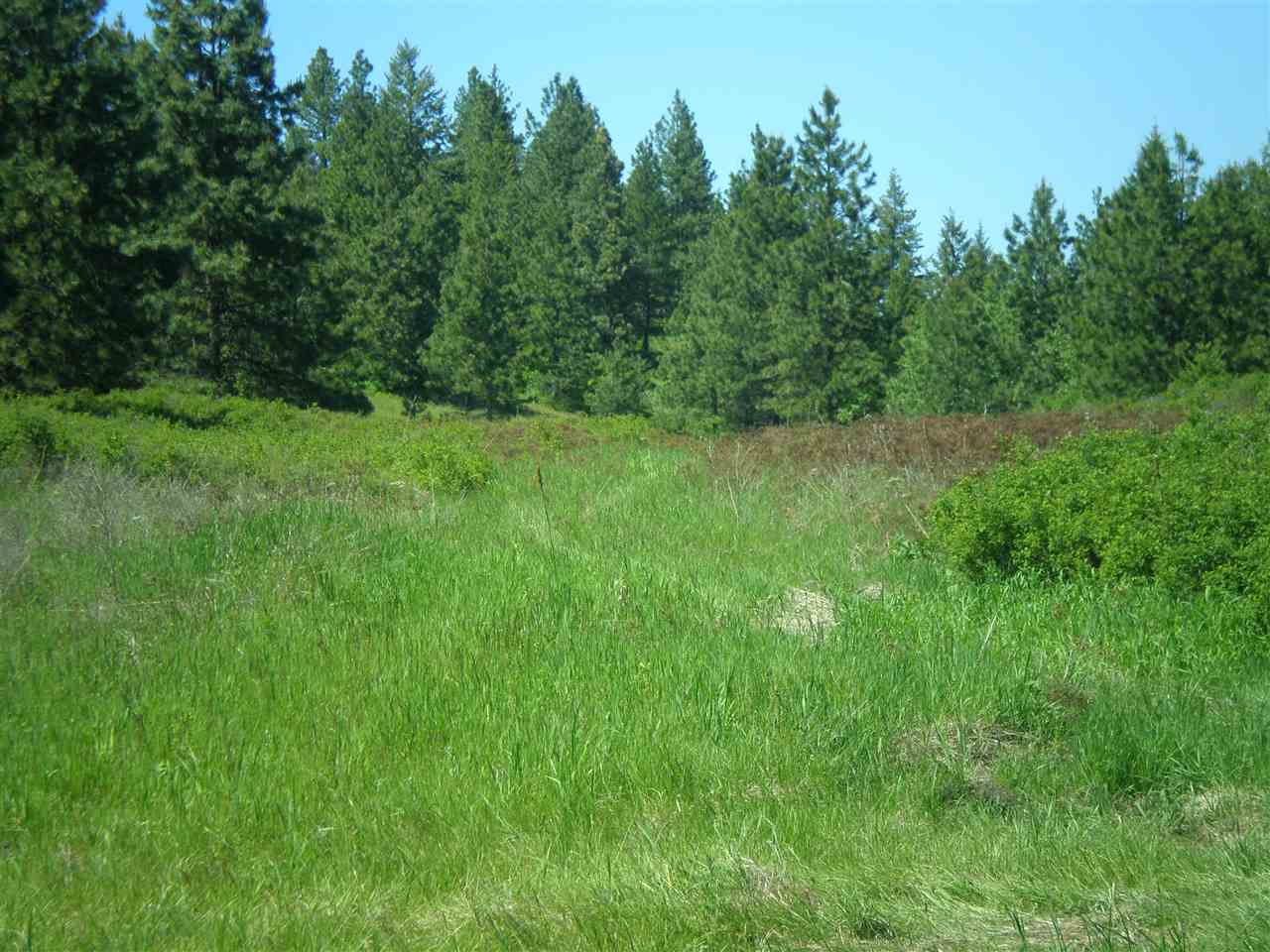34-xx Hoag Road Valley, WA 99181 - Photo 2 of 20 Gallery Image 2