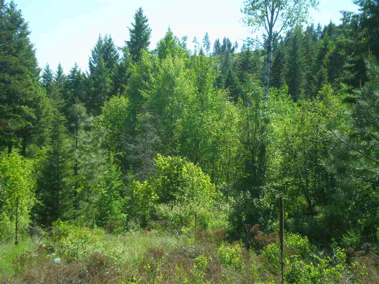 34-xx Hoag Road Valley, WA 99181 - Photo 11 of 20 Gallery Image 11