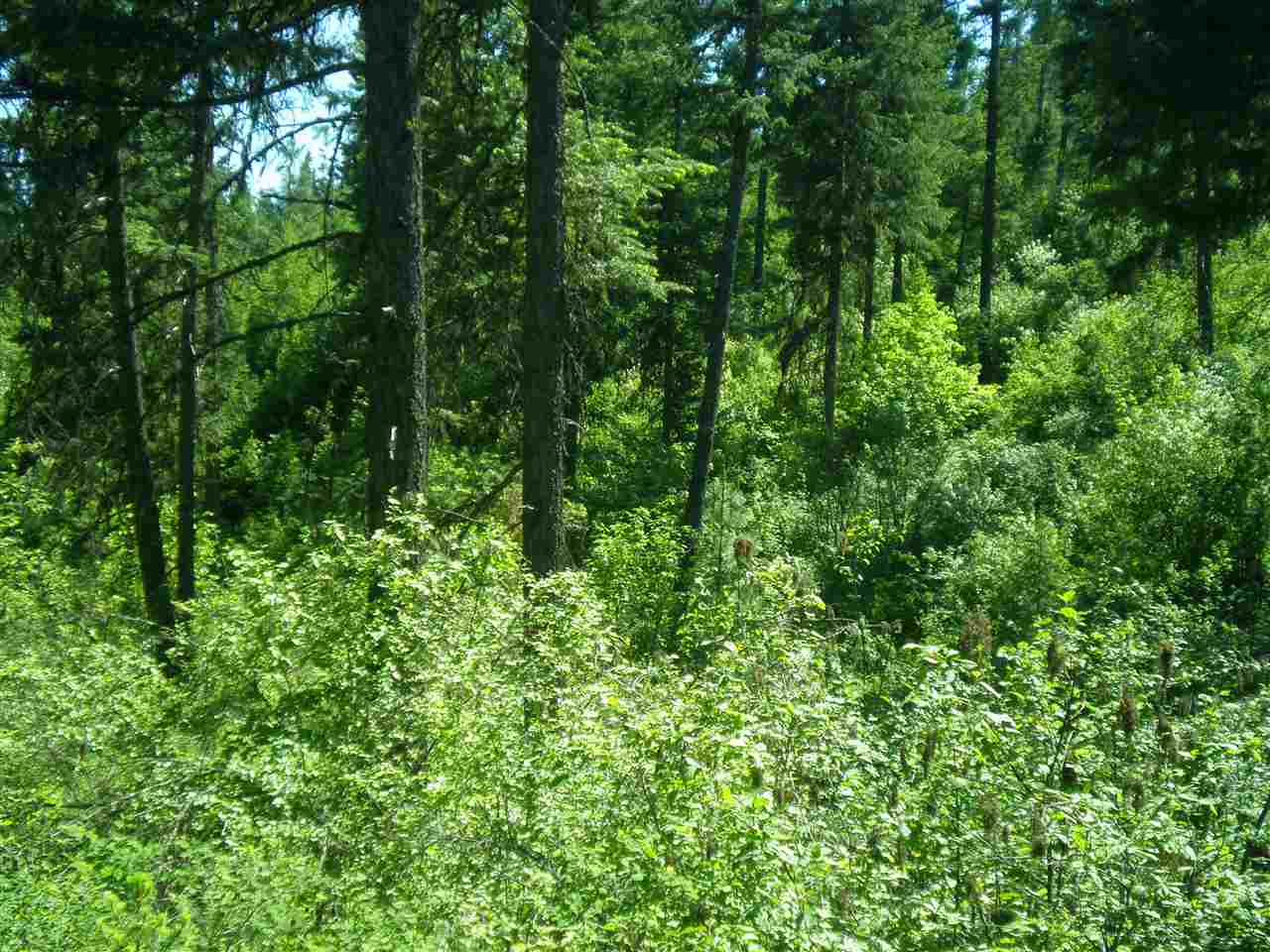 34-xx Hoag Road Valley, WA 99181 - Photo 12 of 20 Gallery Image 12