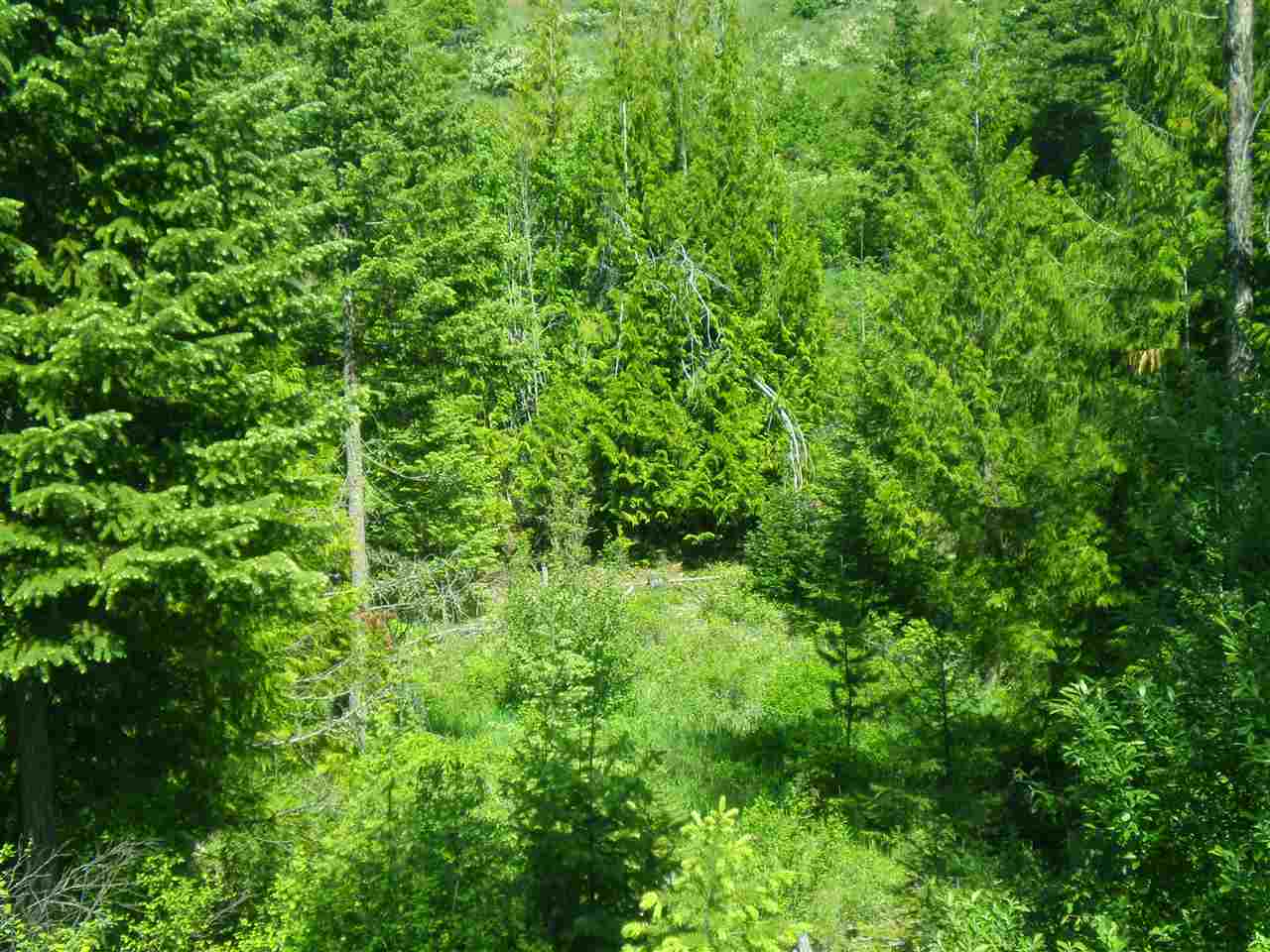 34-xx Hoag Road Valley, WA 99181 - Photo 13 of 20 Gallery Image 13