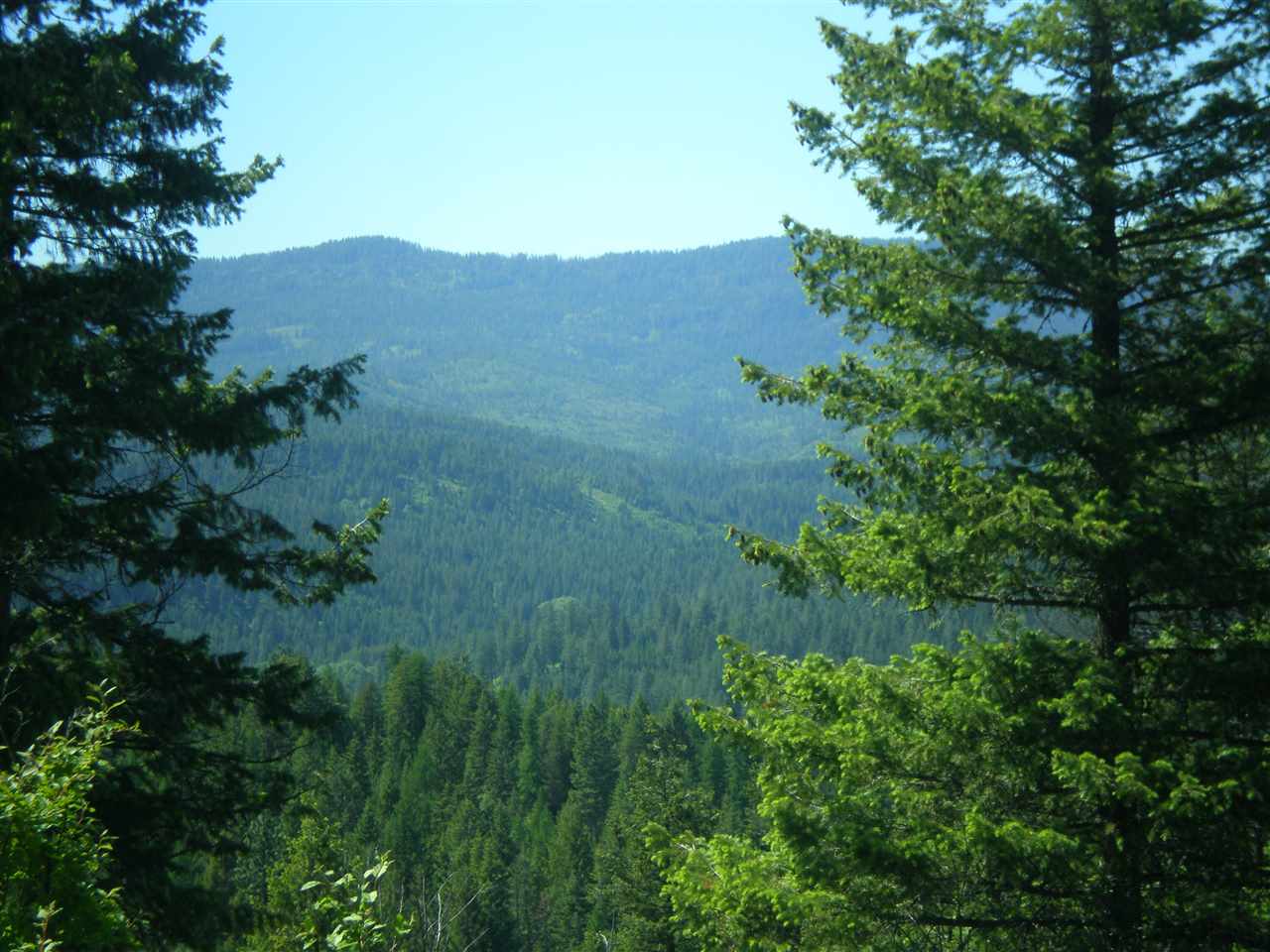 34-xx Hoag Road Valley, WA 99181 - Photo 14 of 20 Gallery Image 14