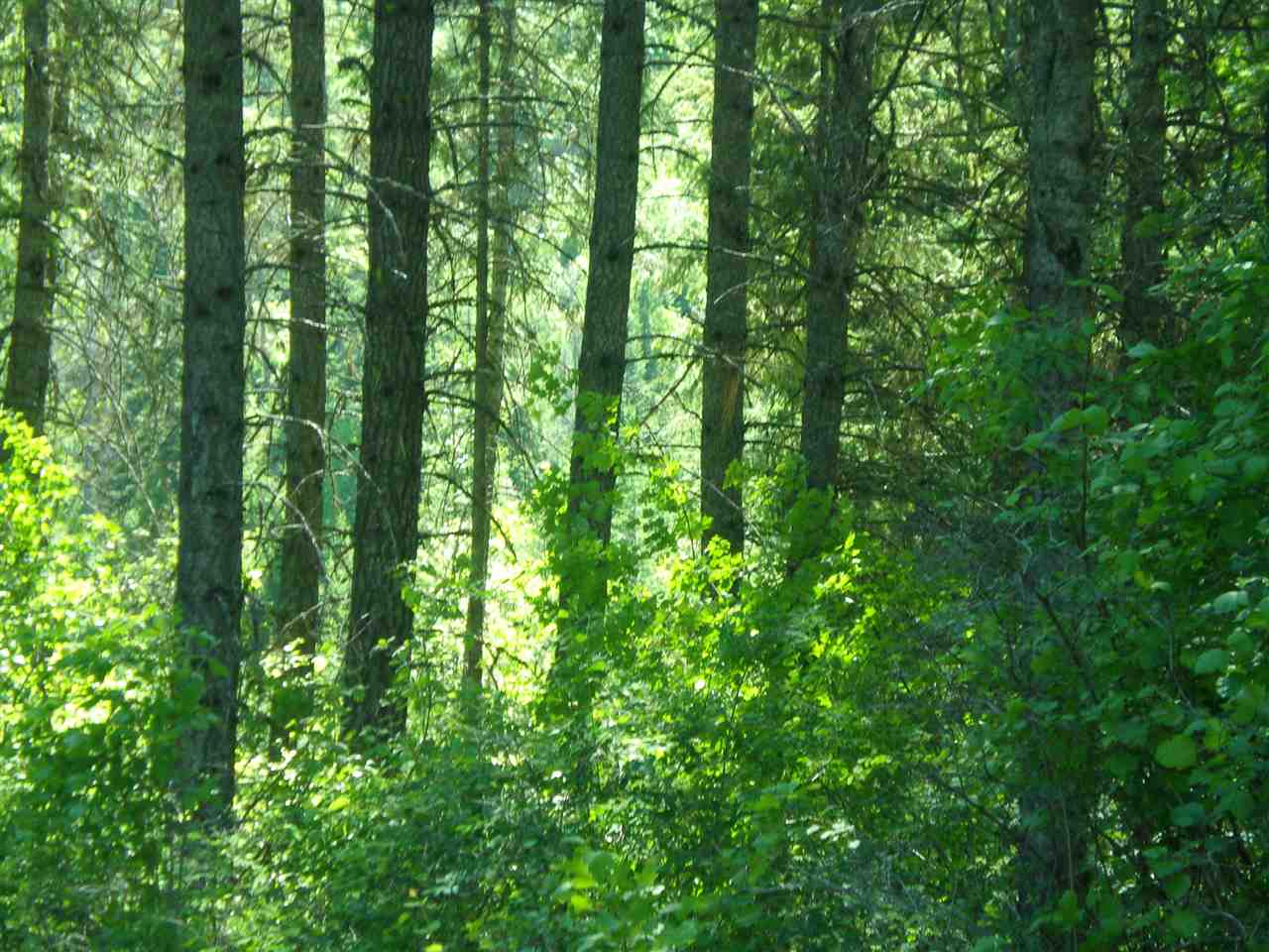 34-xx Hoag Road Valley, WA 99181 - Photo 15 of 20 Gallery Image 15