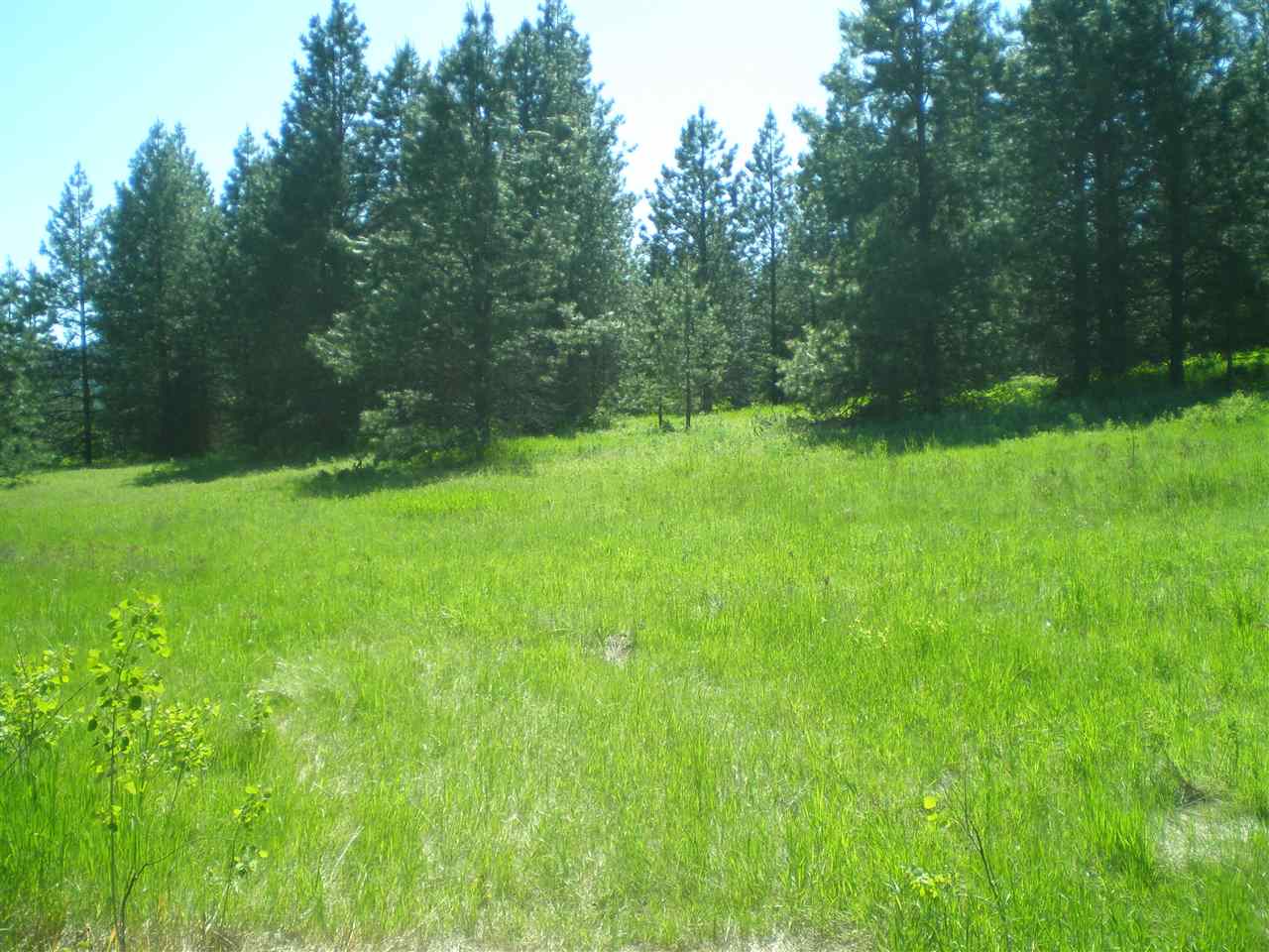 34-xx Hoag Road Valley, WA 99181 - Photo 17 of 20 Gallery Image 17
