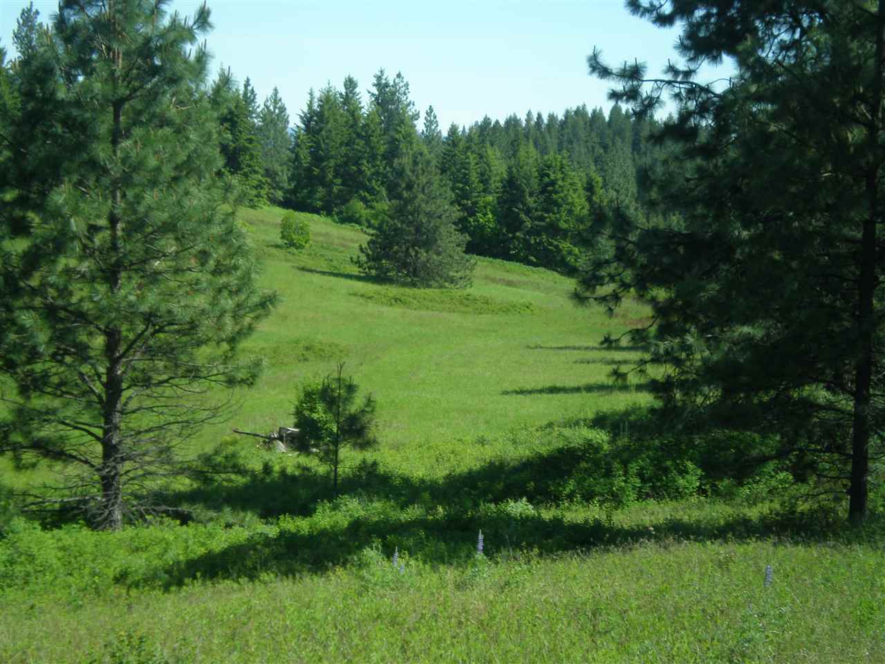 34-xx Hoag Road Valley, WA 99181 - Photo 19 of 20 Gallery Image 19