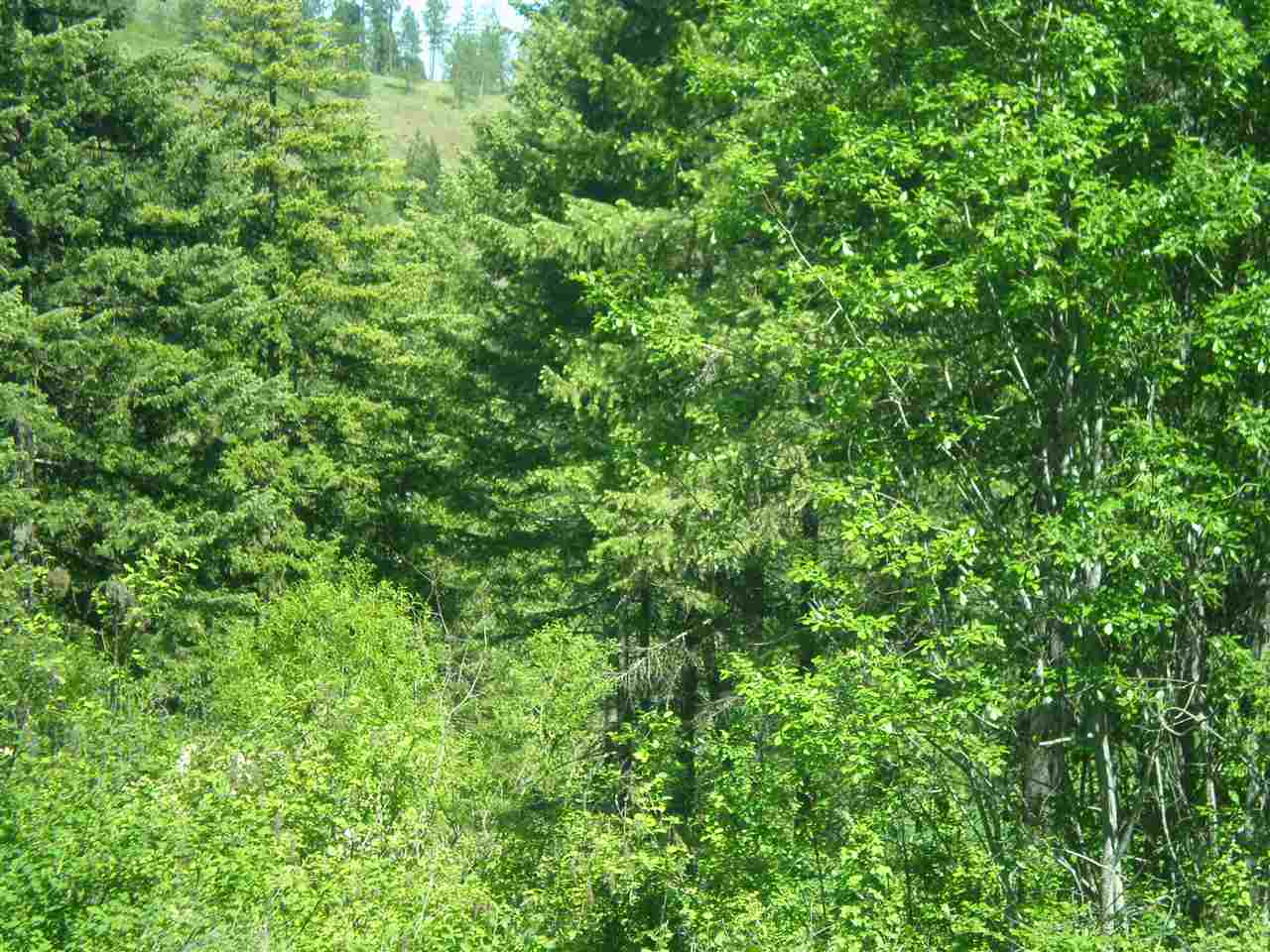 34-xx Hoag Road Valley, WA 99181 - Photo 6 of 20 Gallery Image 6