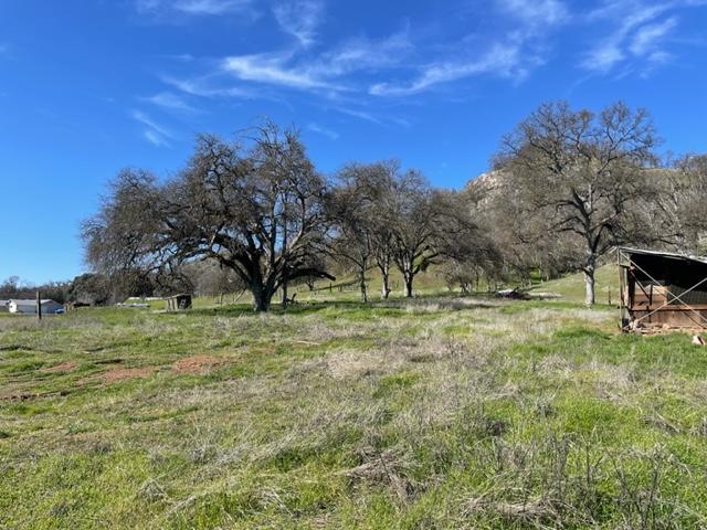 63 Watts Valley Road Tollhouse, CA 93667 - Photo 3 of 12 Gallery Image 3