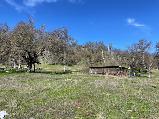 63 Watts Valley Road Tollhouse, CA 93667 - Photo 8 of 12 Gallery Image 8