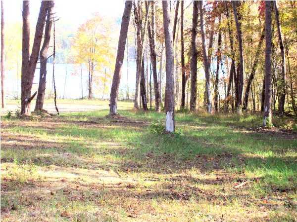 2 Piney Point Road Spring City, TN 37381 - Photo 2 of 2 Additional Photo