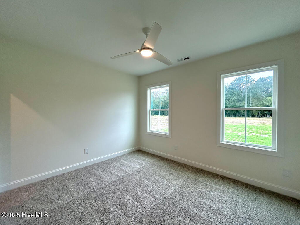 906 Wild Azalea Way Hubert, NC 28539 - Photo 72 of 75 IMG-3655-jpg