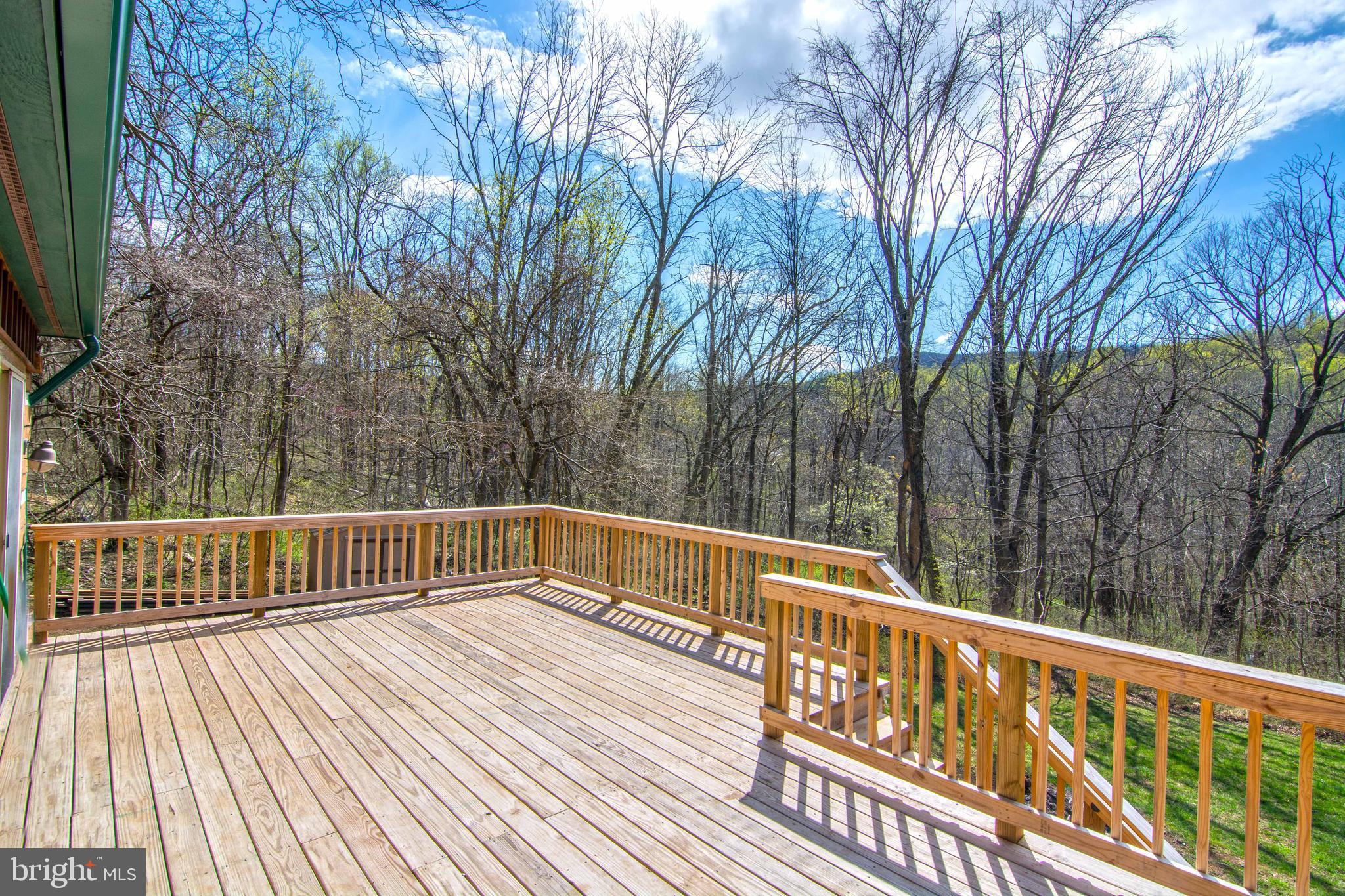 304 Apple Jack Road Linden, VA 22642 - Photo 21 of 42 Gallery Image 21