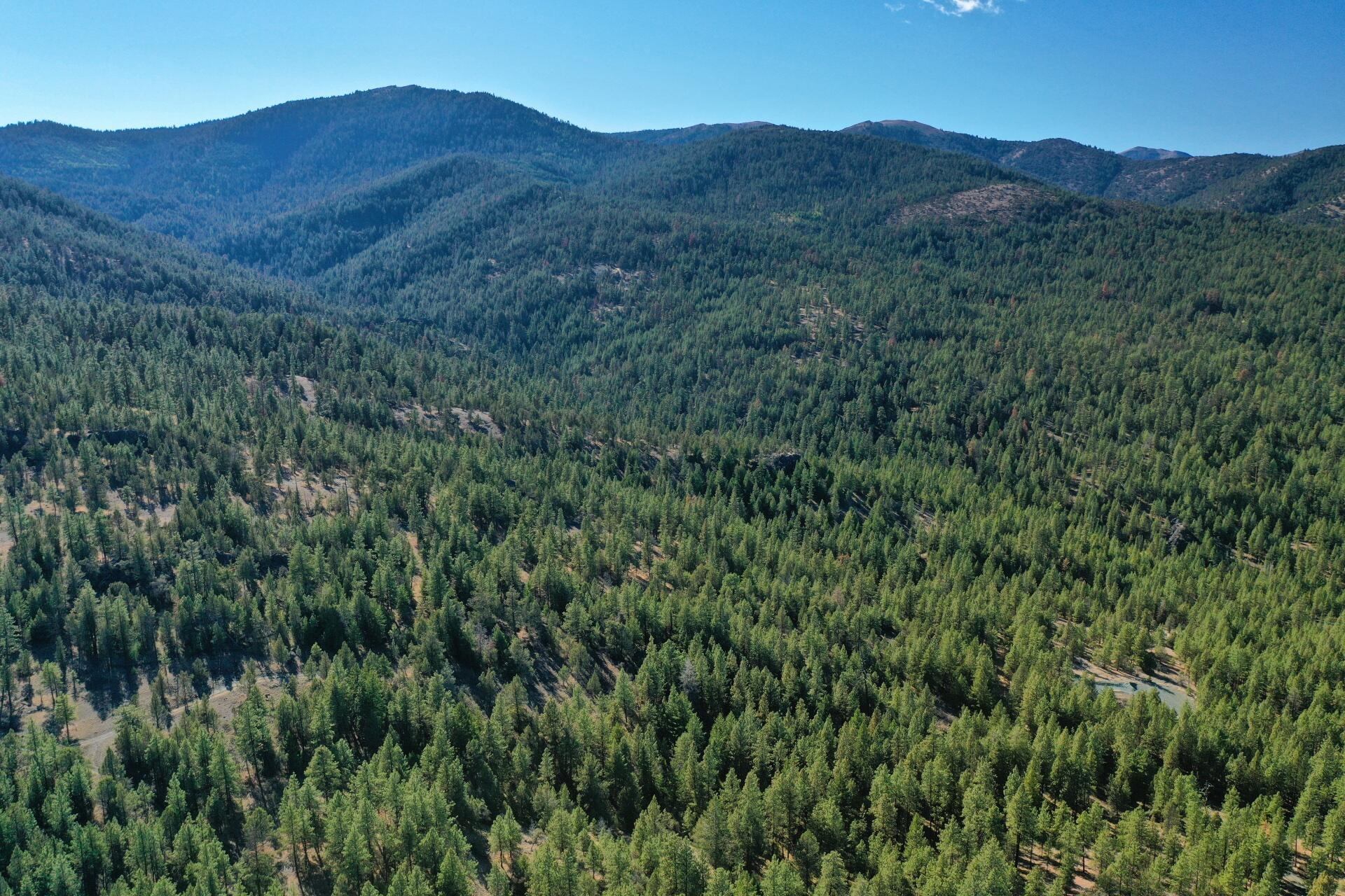 Nans Rock Rd Mount, Unit 3007 Mount Vernon, OR 97865 - Photo 3 of 16 DJI_0050