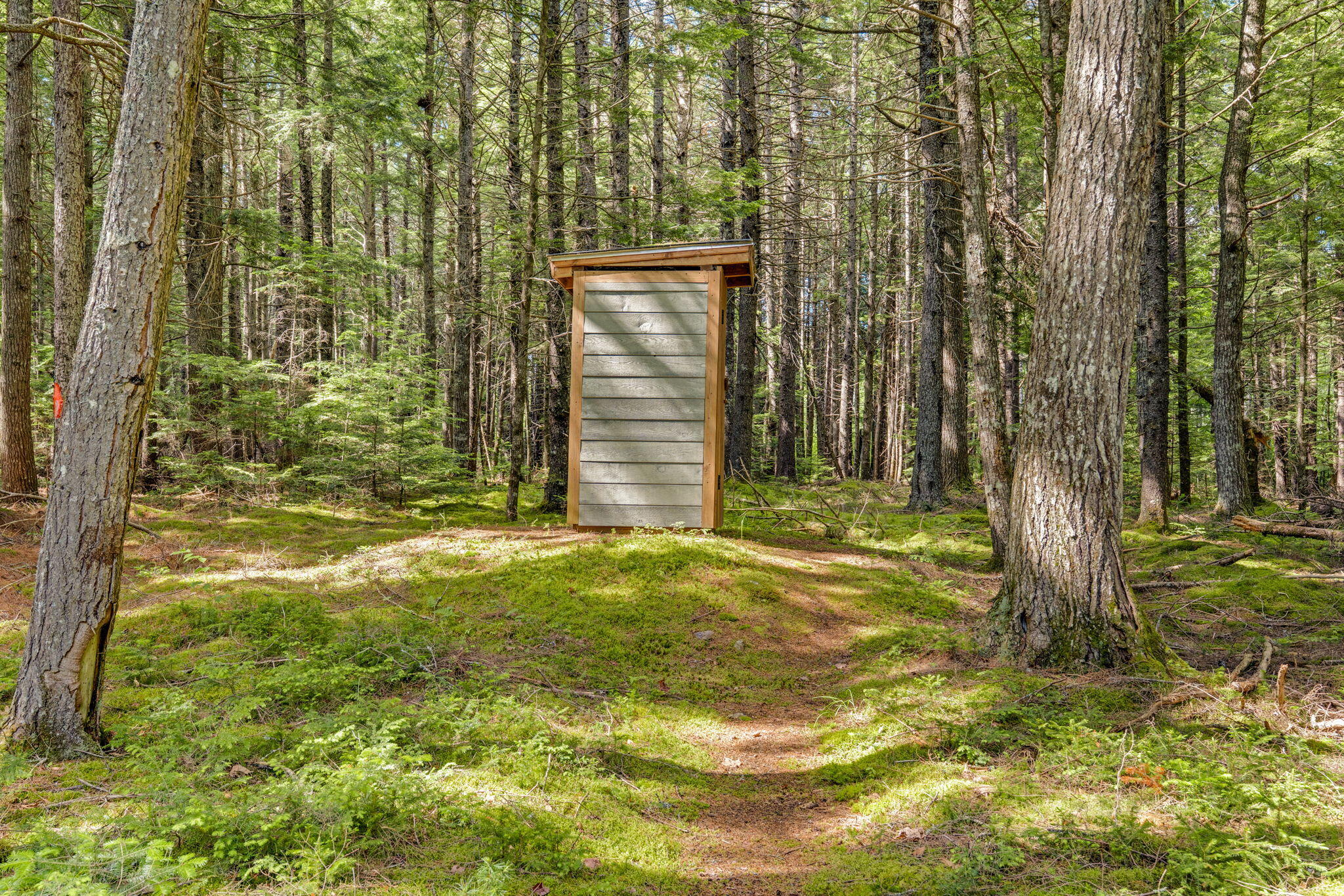 Lot 131 Lot Road Cherryfield, ME 04622 - Photo 30 of 63 30-web-or-mls-lot-131-upper-lead-mountai