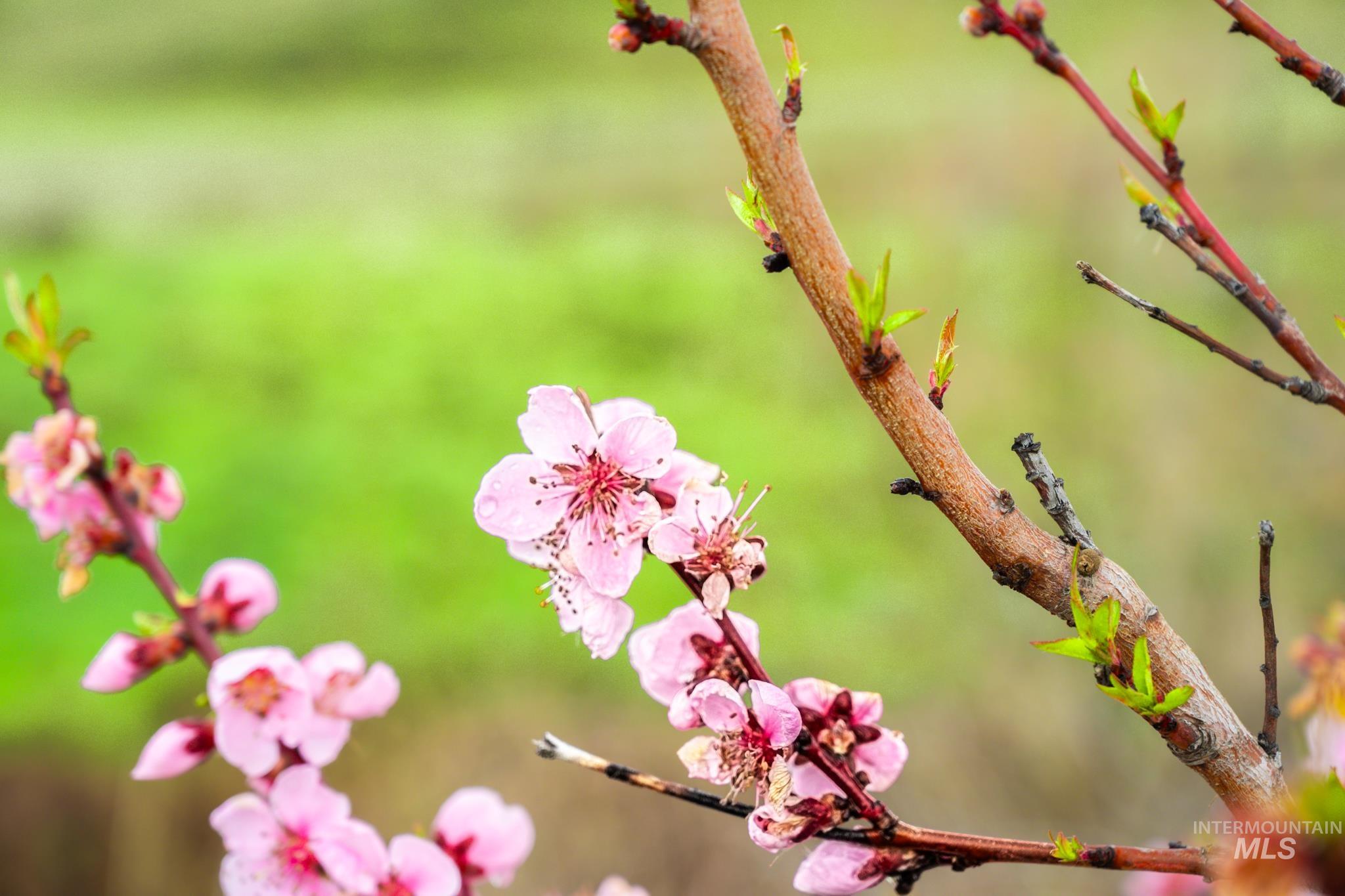 15854 Lockett Road Huntington, OR 97907 - Photo 22 of 28