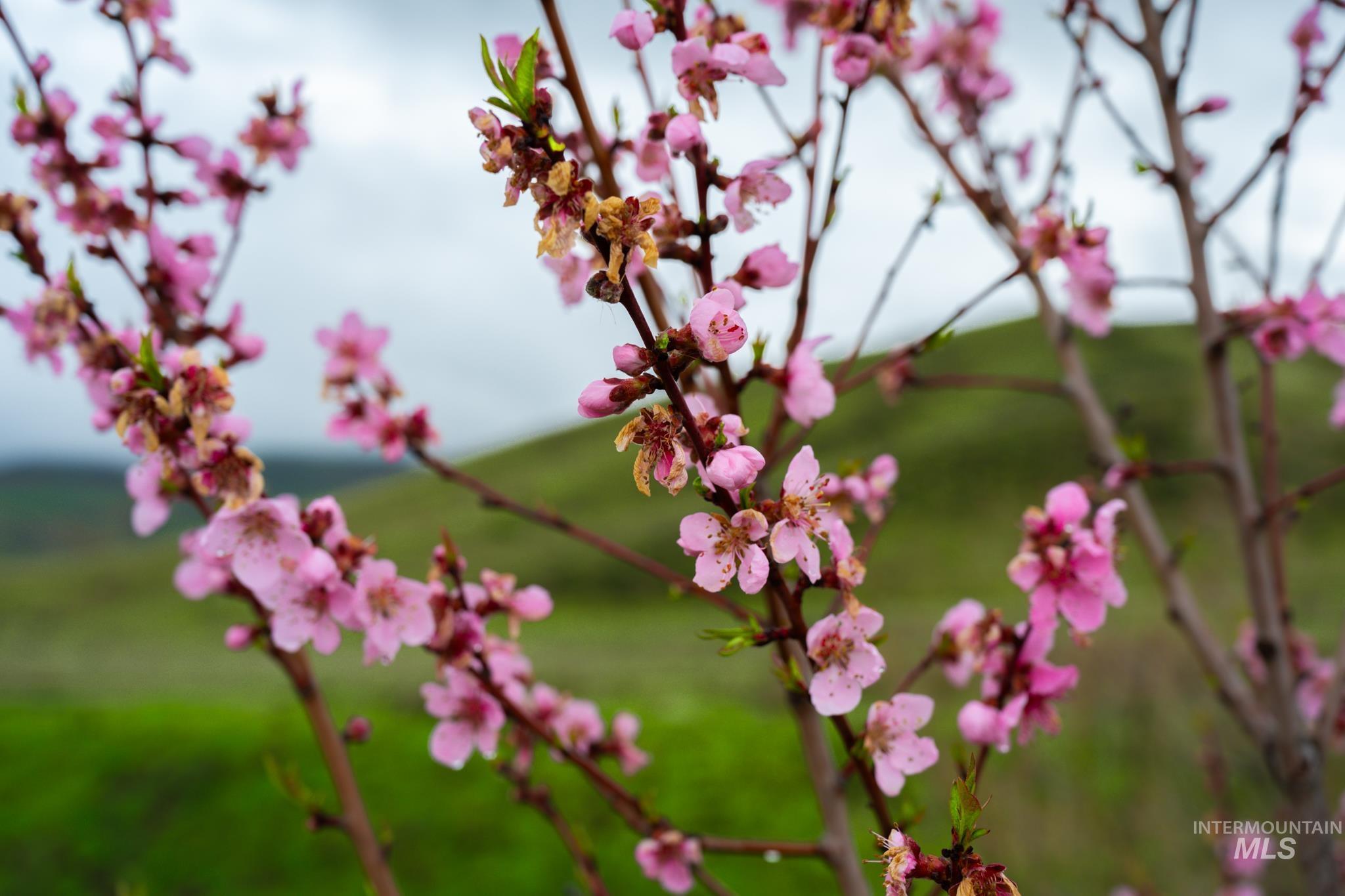 15854 Lockett Road Huntington, OR 97907 - Photo 23 of 28