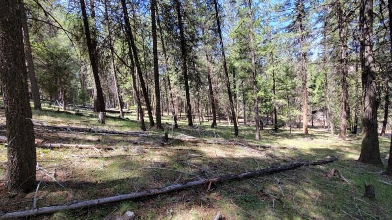 1315 Lofton Creek Road Prineville, OR 97754 - Photo 14 of 61 image000001 (9)