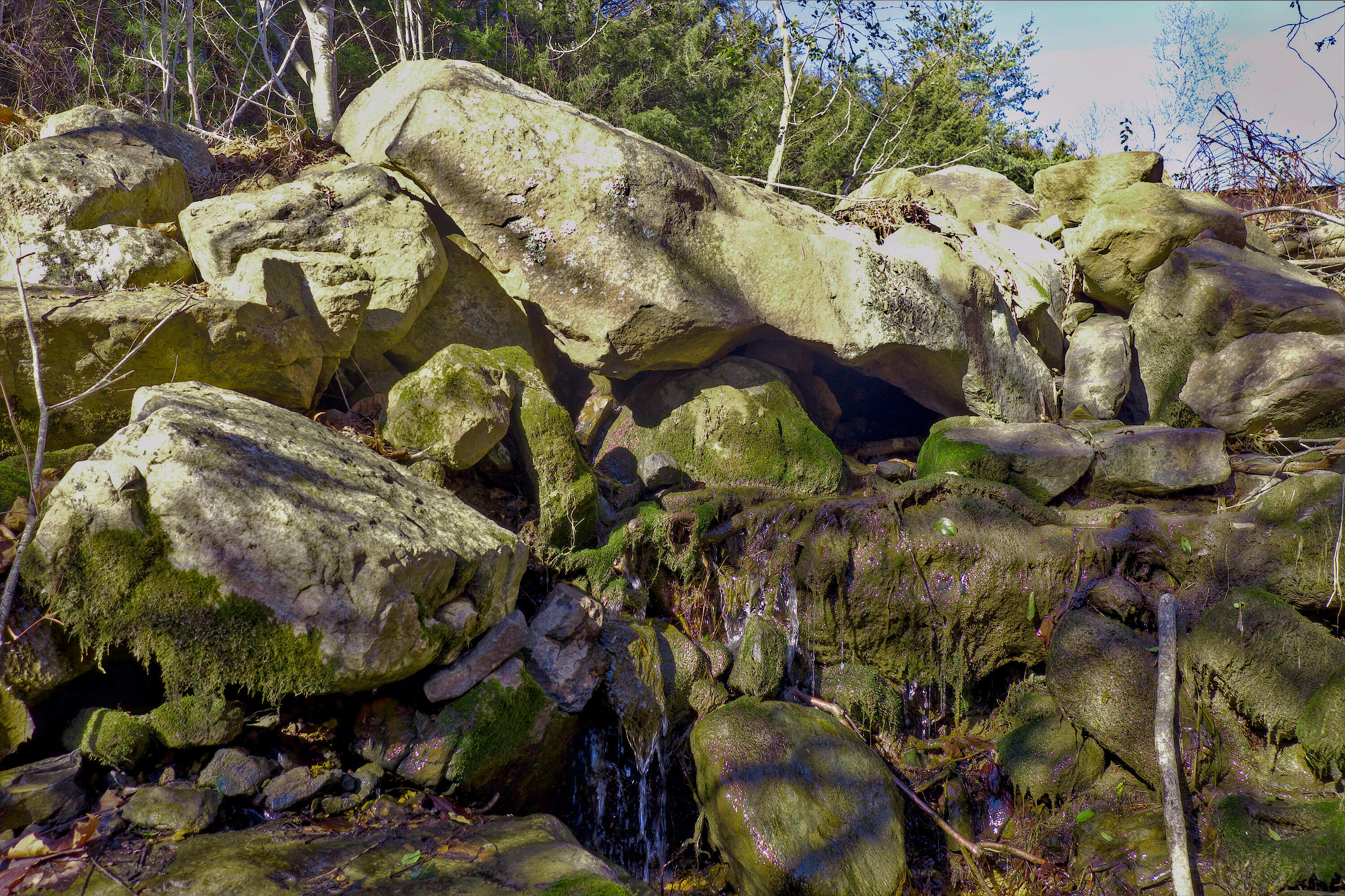 105 Wildwood Road Rockbridge Baths, VA 24473 - Photo 55 of 72 55