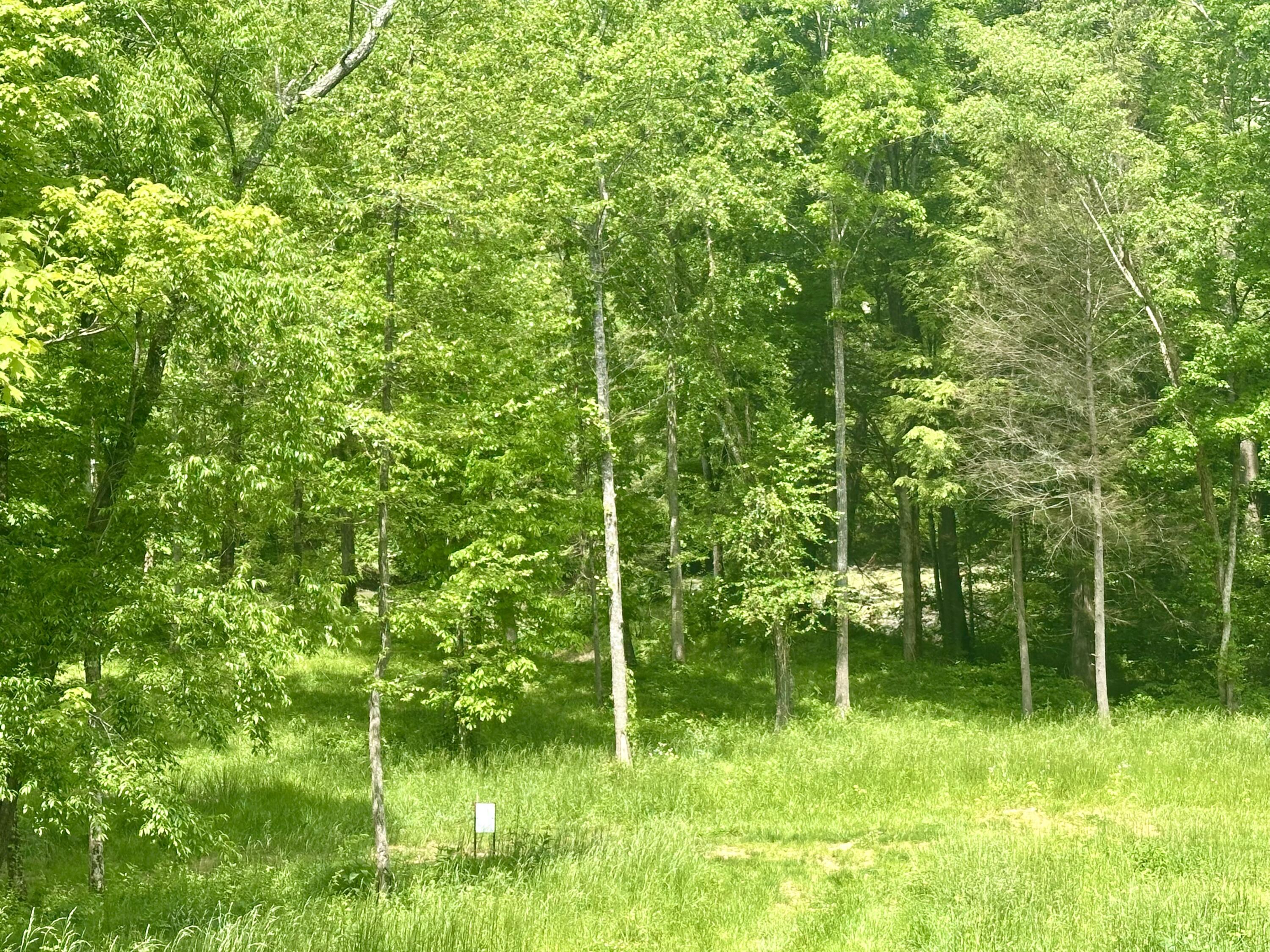 1815 Baldwin Road McKee, KY 40447 - Photo 59 of 68 IMG_0364
