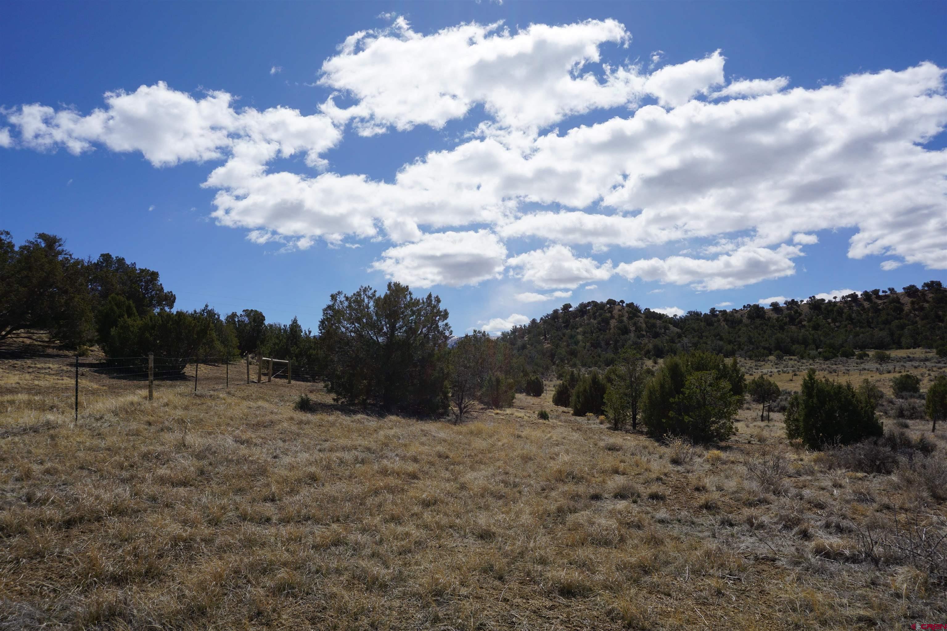 30214 Rd H Cortez, CO 81321 - Photo 13 of 23