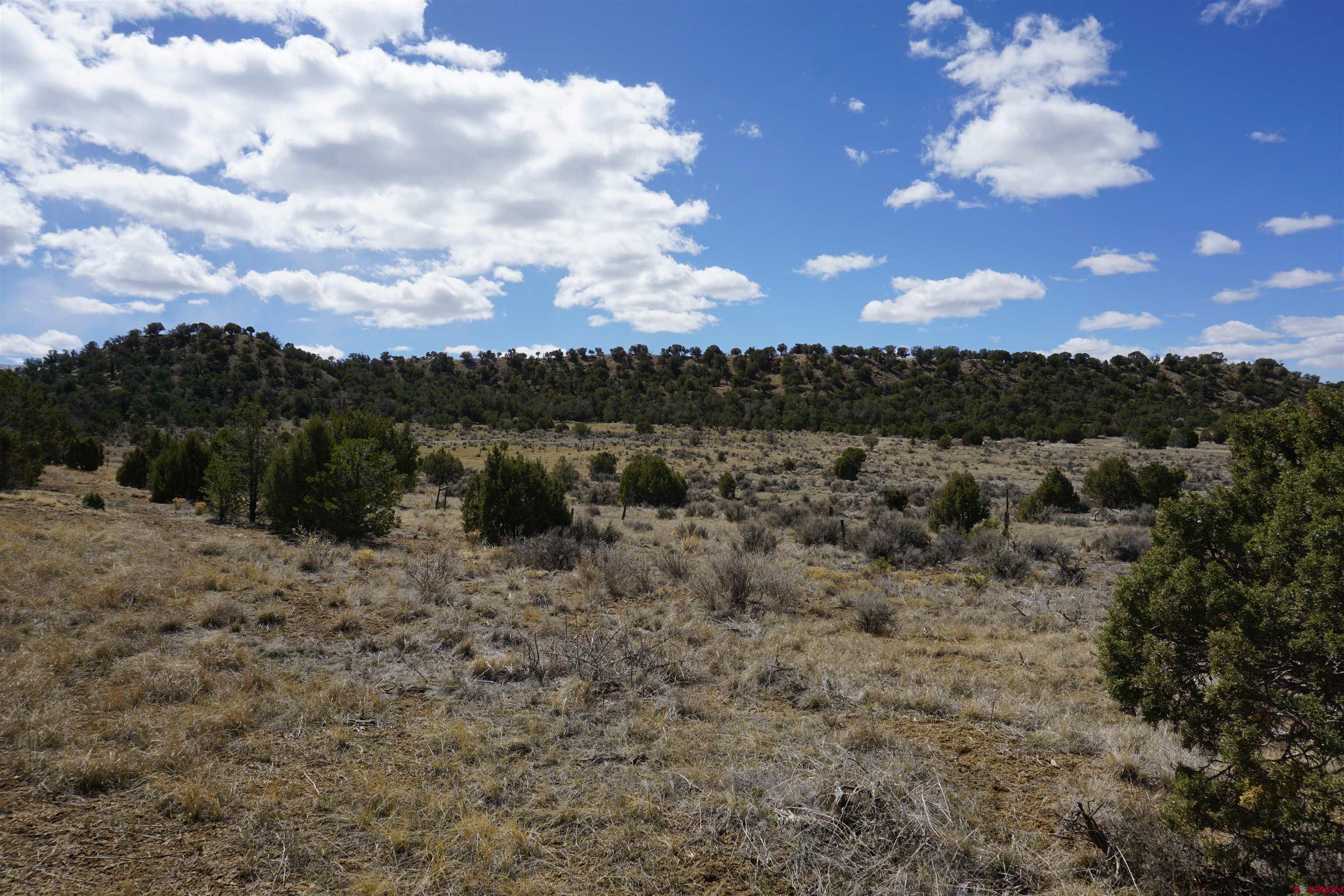 30214 Rd H Cortez, CO 81321 - Photo 14 of 23