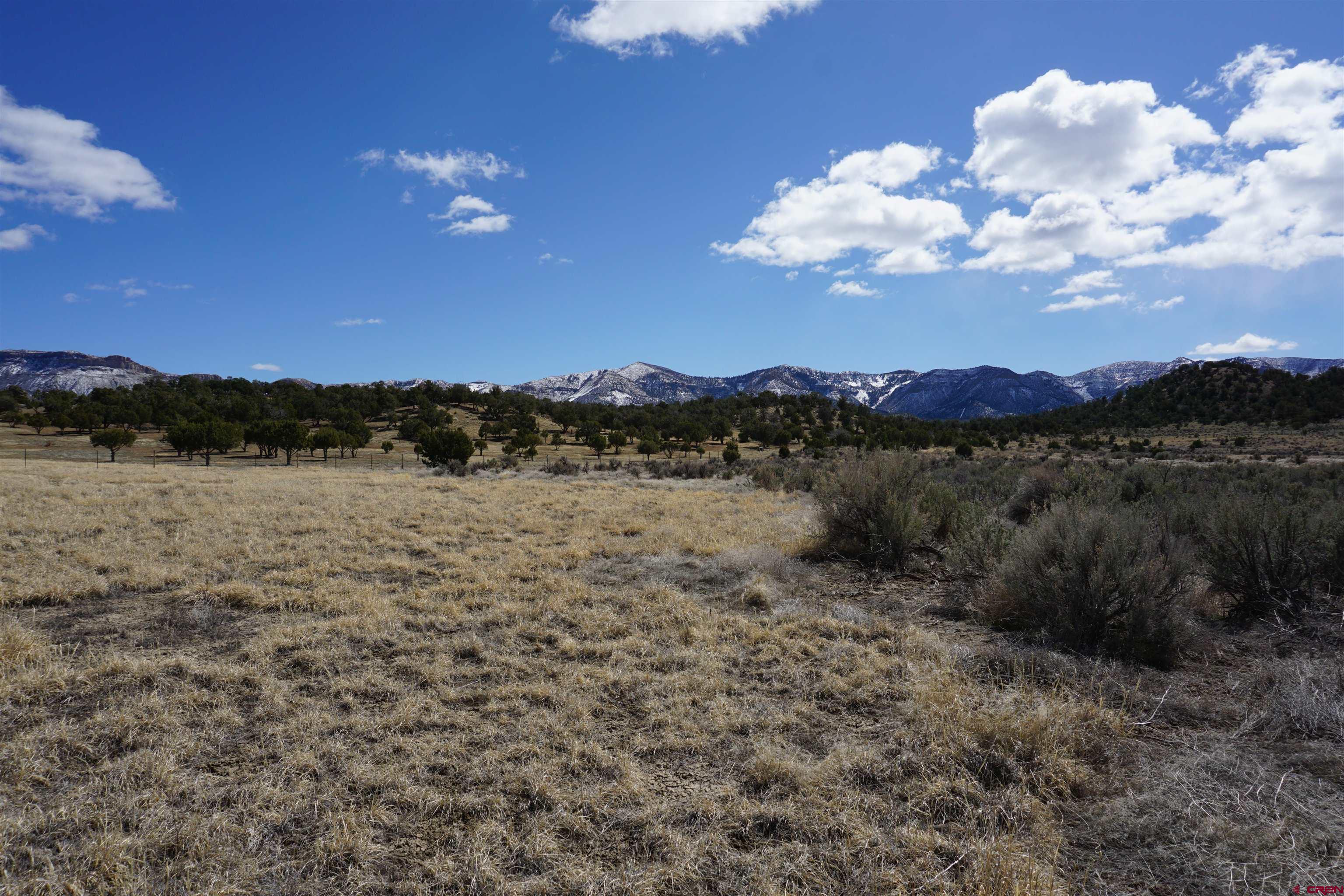 30214 Rd H Cortez, CO 81321 - Photo 15 of 23