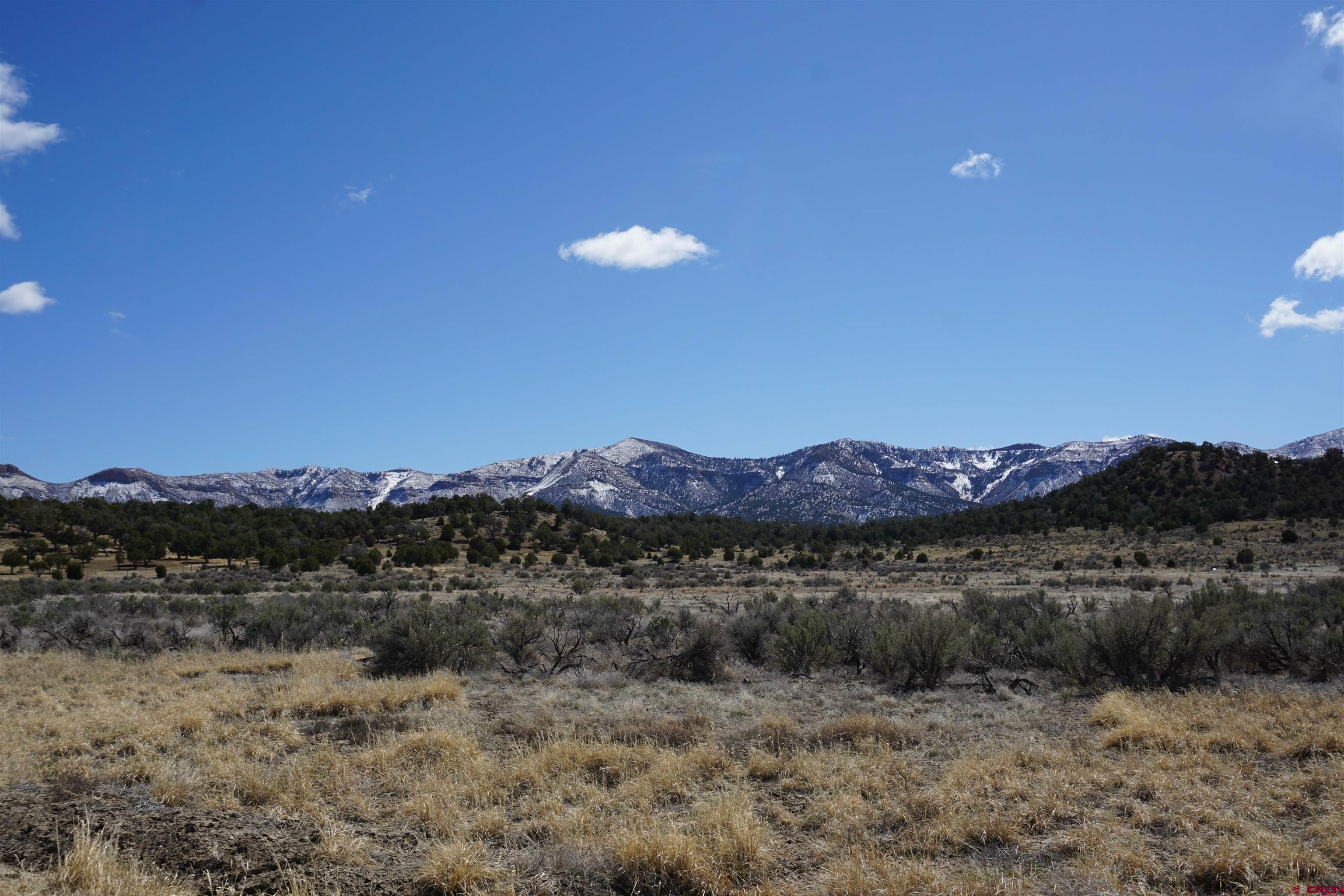30214 Rd H Cortez, CO 81321 - Photo 16 of 23