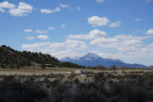 a view of a dry field with trees in the background