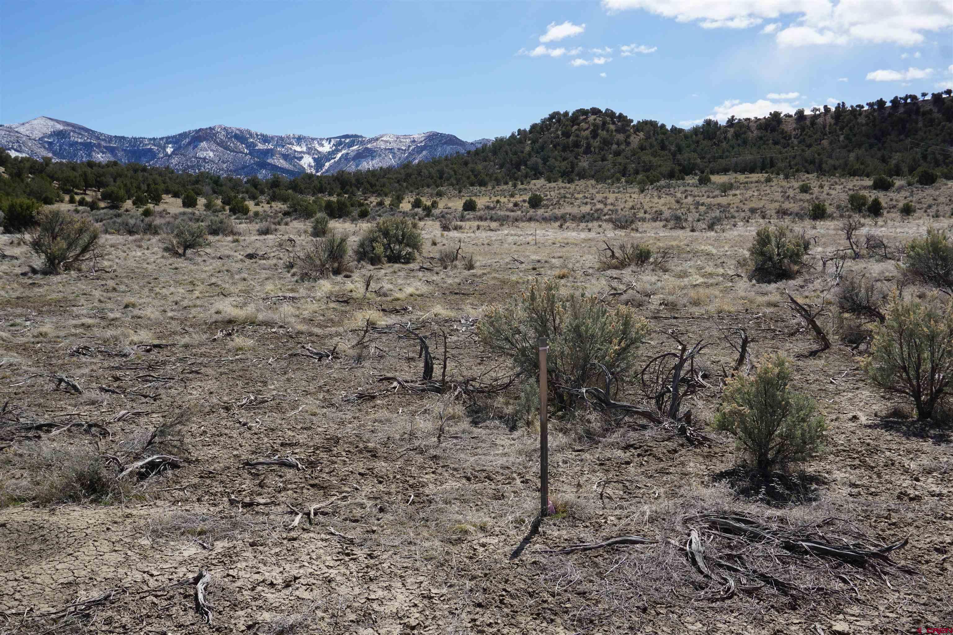 30214 Rd H Cortez, CO 81321 - Photo 20 of 23