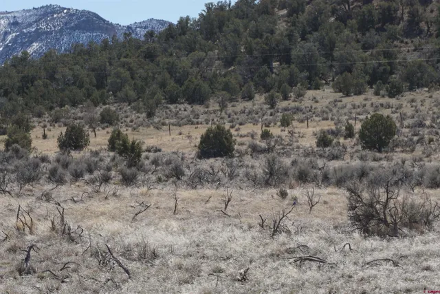 $160,000 | 30214 Rd H, Cortez, CO 81321