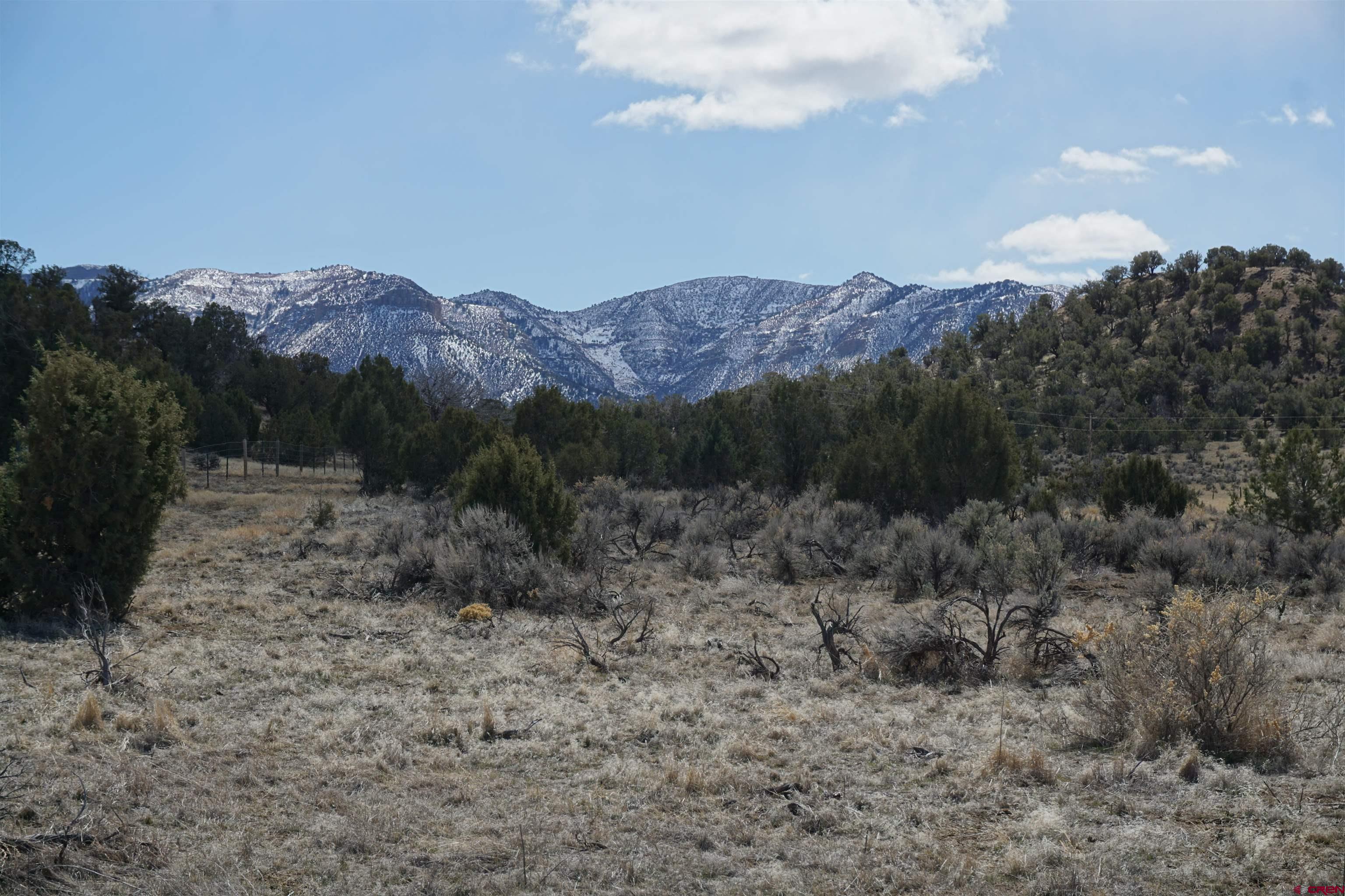 30214 Rd H Cortez, CO 81321 - Photo 3 of 23