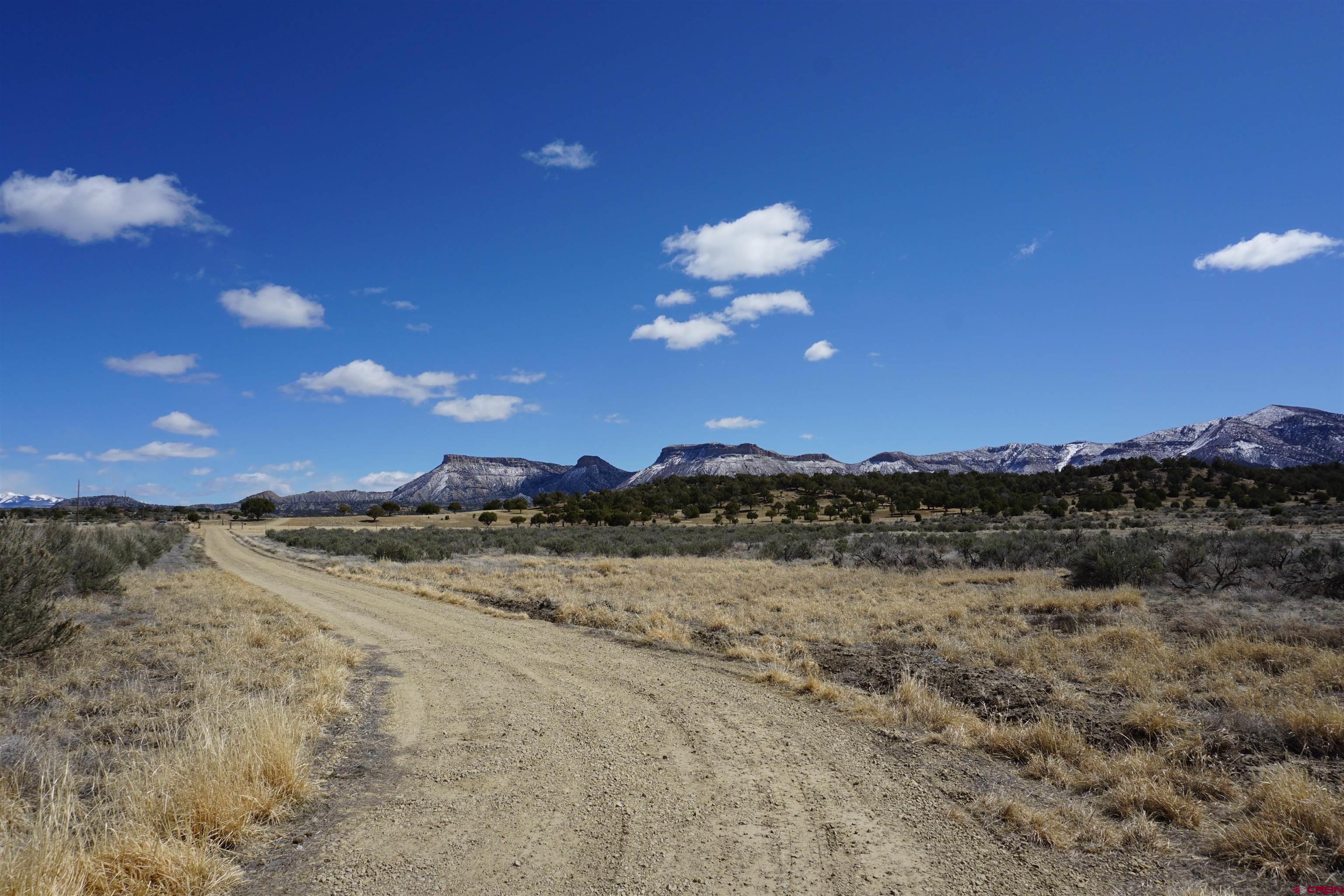 30214 Rd H Cortez, CO 81321 - Photo 4 of 23
