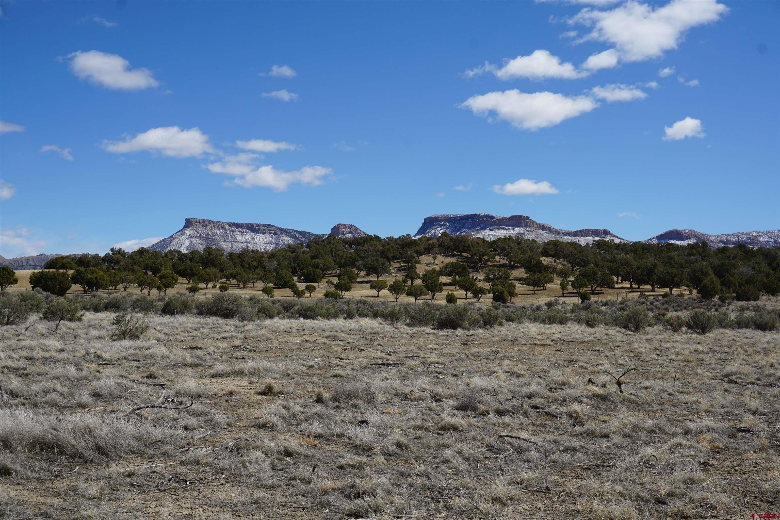30214 Rd H Cortez, CO 81321 - Photo 5 of 23