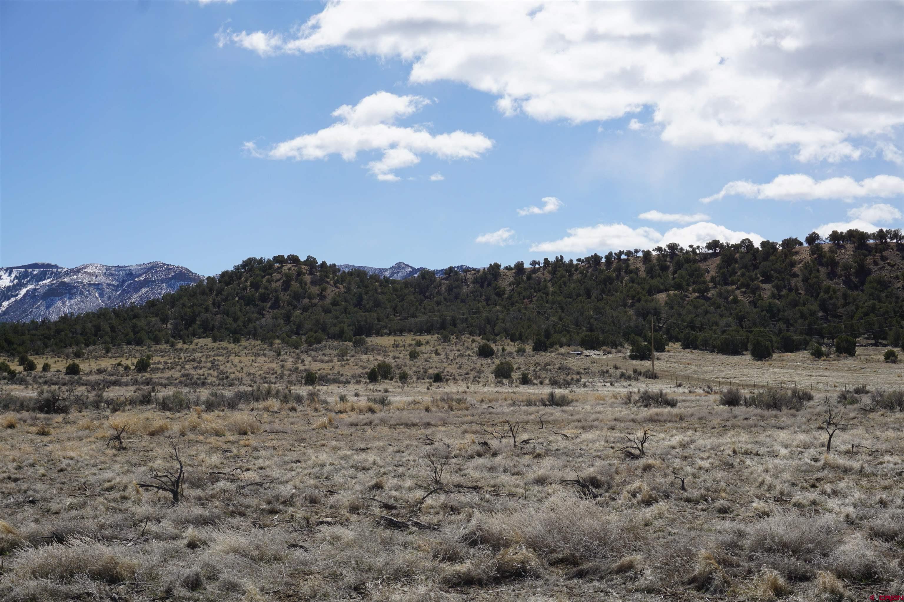 30214 Rd H Cortez, CO 81321 - Photo 6 of 23