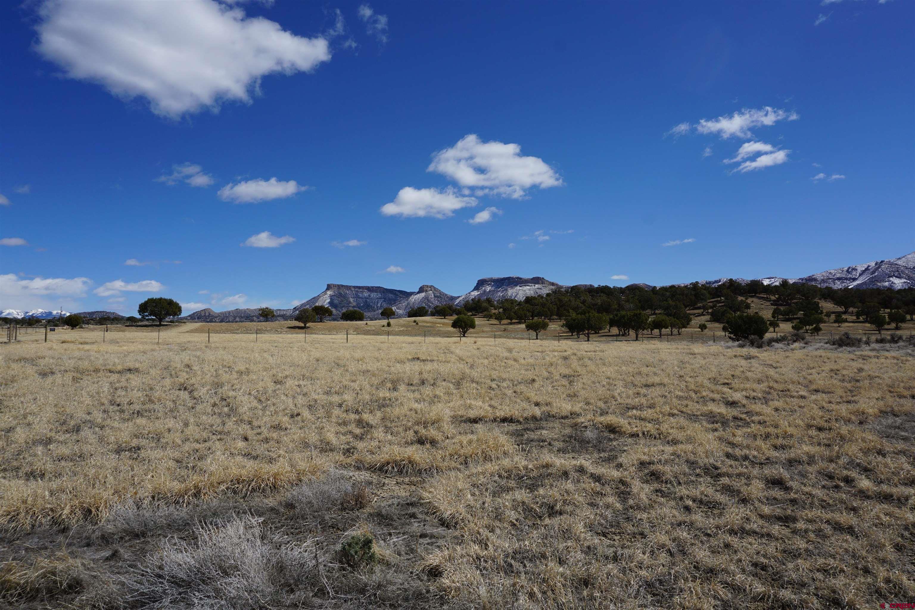 30214 Rd H Cortez, CO 81321 - Photo 7 of 23