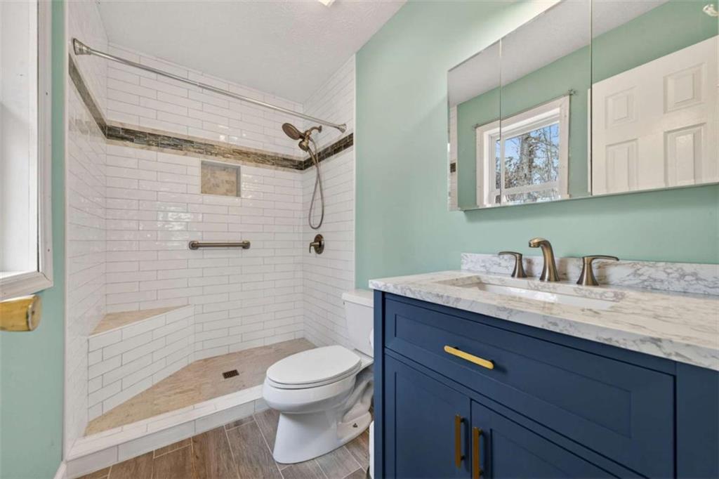 1951 Swords Trail Buckhead, GA 30625 - Photo 33 of 102 a bathroom with a granite countertop sink a toilet and shower