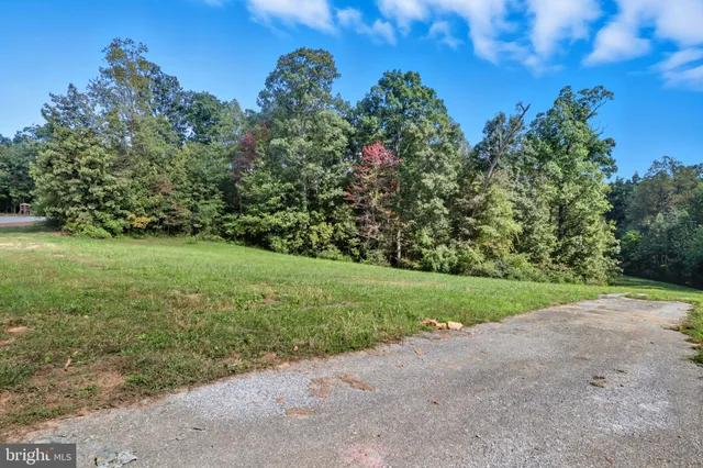a view of a field with an trees