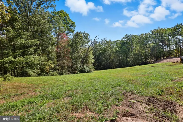 a view of a grassy field with trees