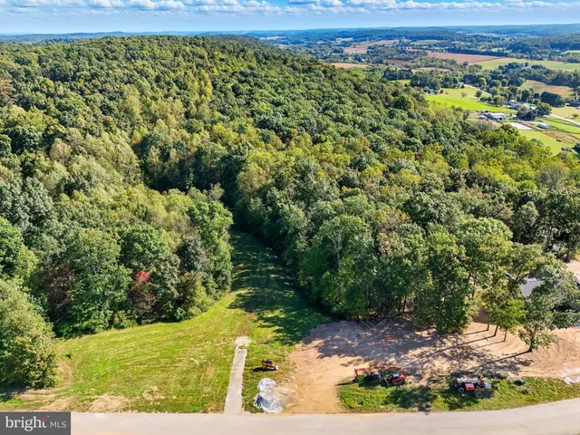 a view of a backyard with plants