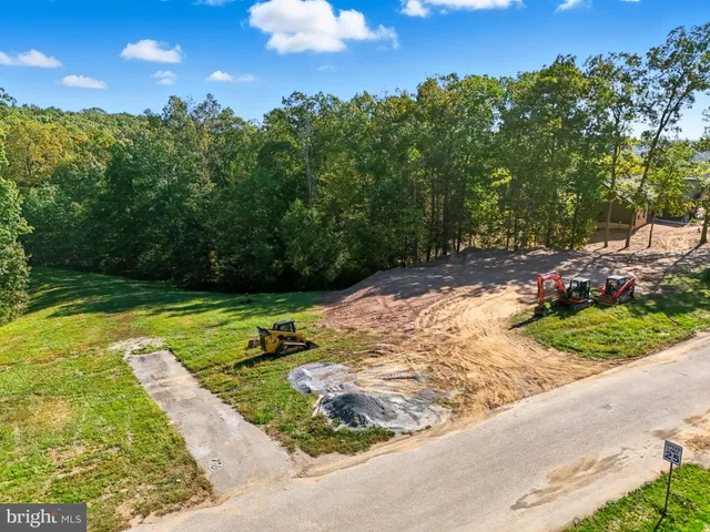 a view of a garden with plants