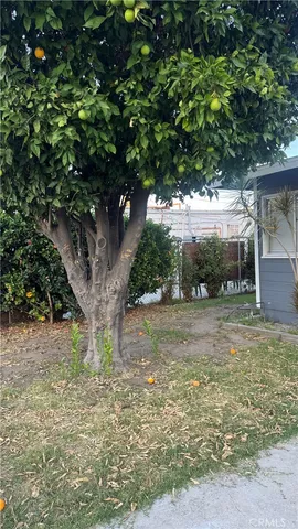a view of a yard with a tree