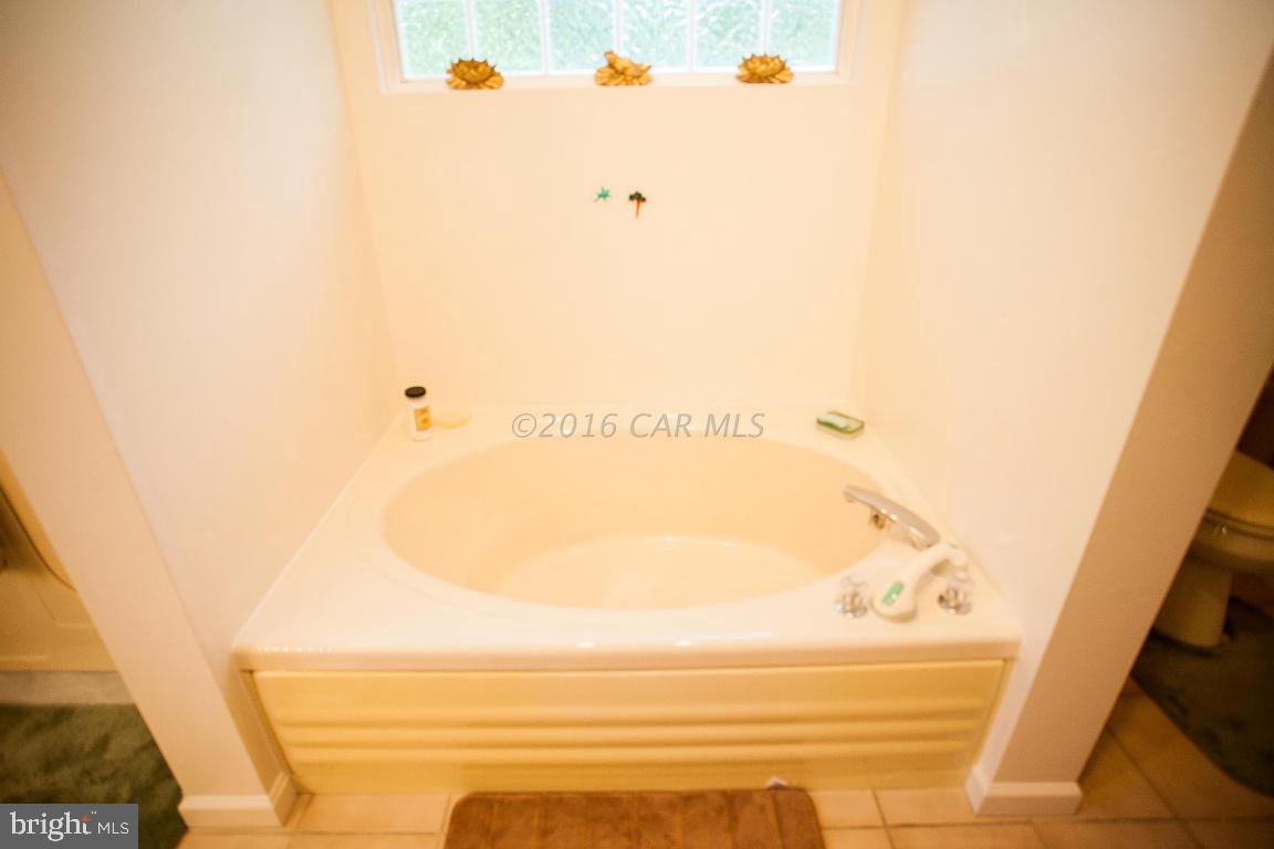 133 Pinehurst Road Berlin, MD 21811 - Photo 59 of 112