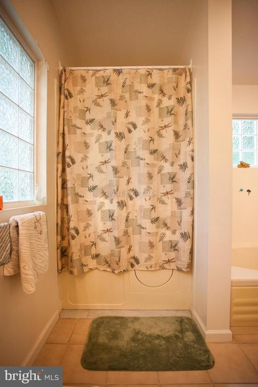133 Pinehurst Road Berlin, MD 21811 - Photo 63 of 112