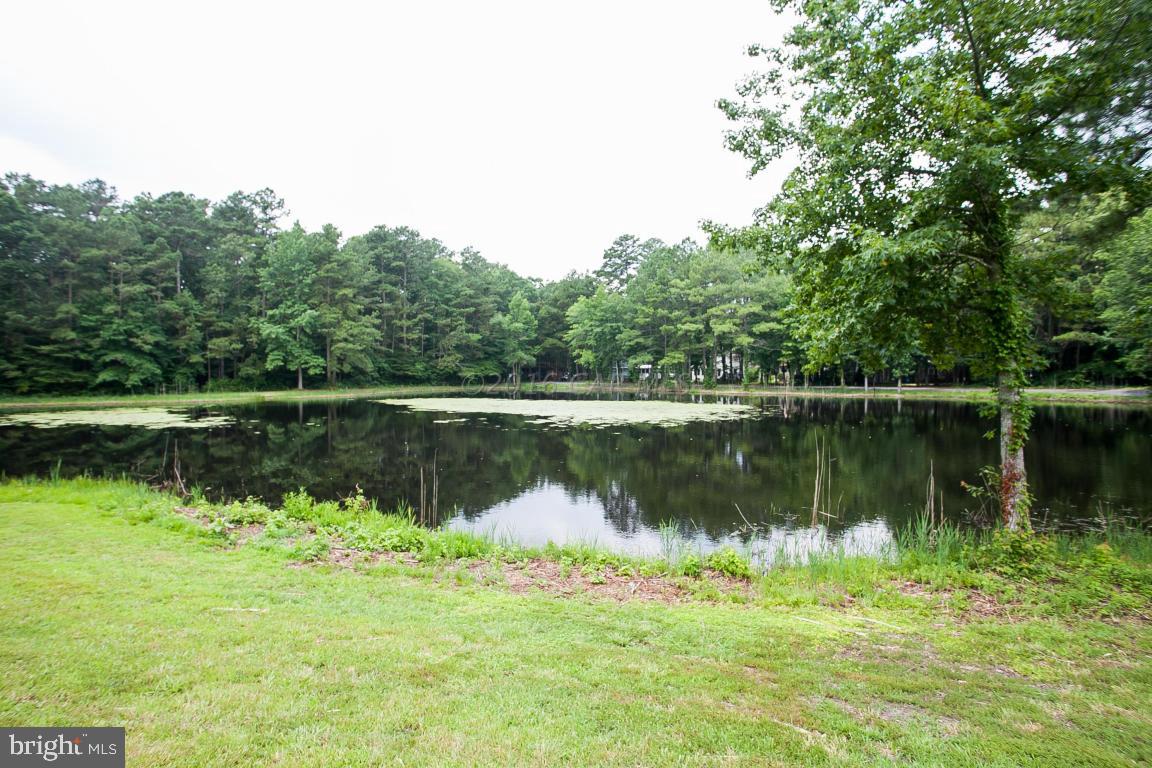 133 Pinehurst Road Berlin, MD 21811 - Photo 91 of 112 a view of a lake in middle of forest