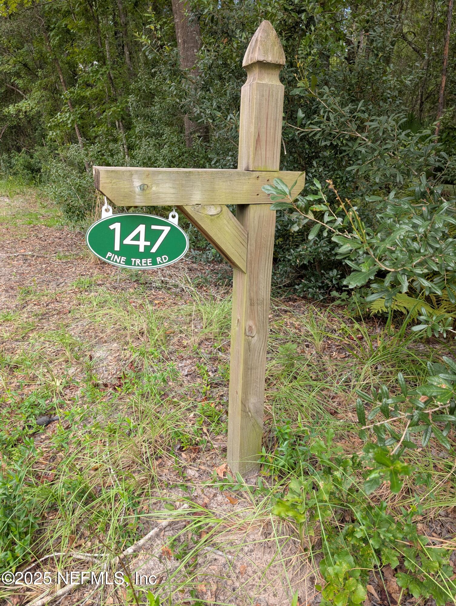 147 Pinetree Road Palatka, FL 32177 - Photo 1 of 17 a view of a bird bath