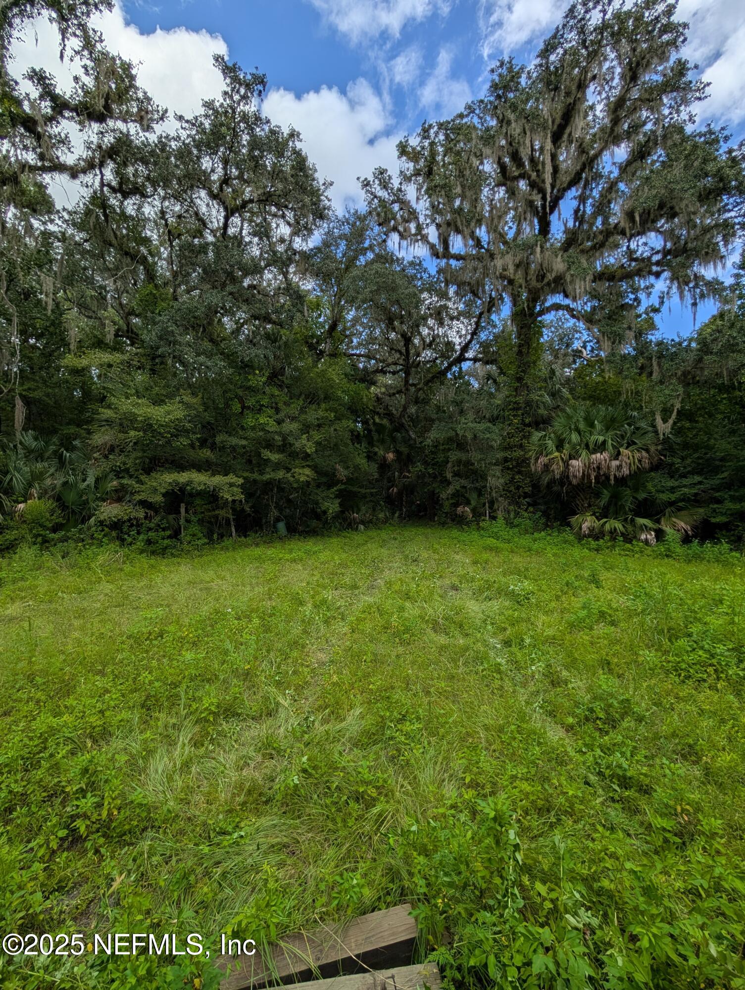 147 Pinetree Road Palatka, FL 32177 - Photo 11 of 17 a view of yard with green space