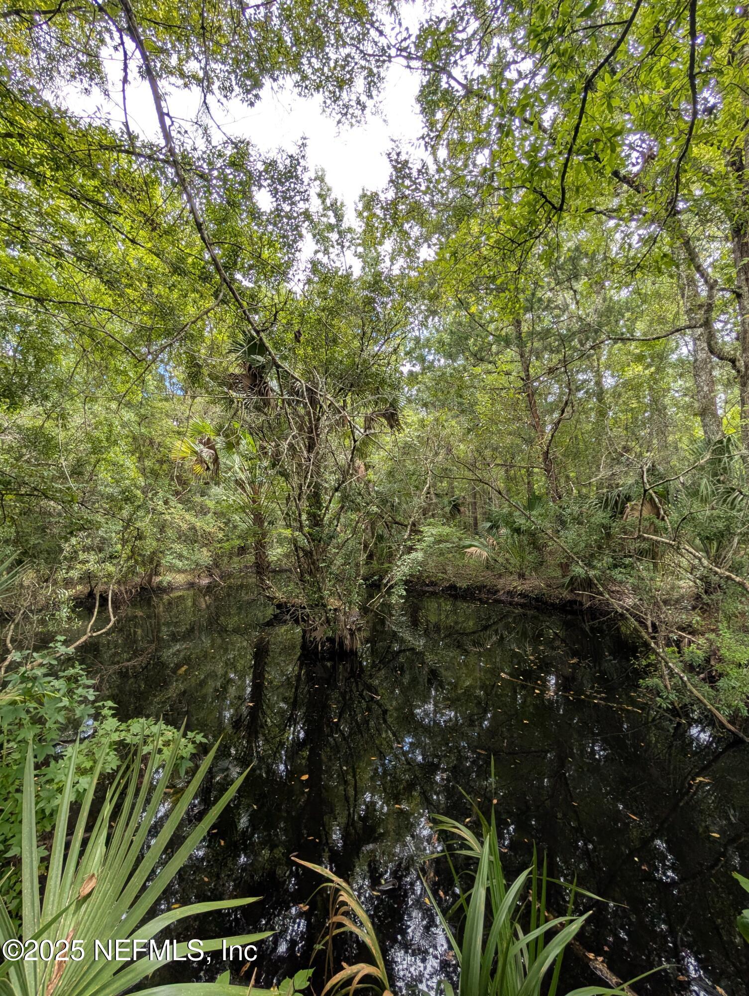 147 Pinetree Road Palatka, FL 32177 - Photo 16 of 17