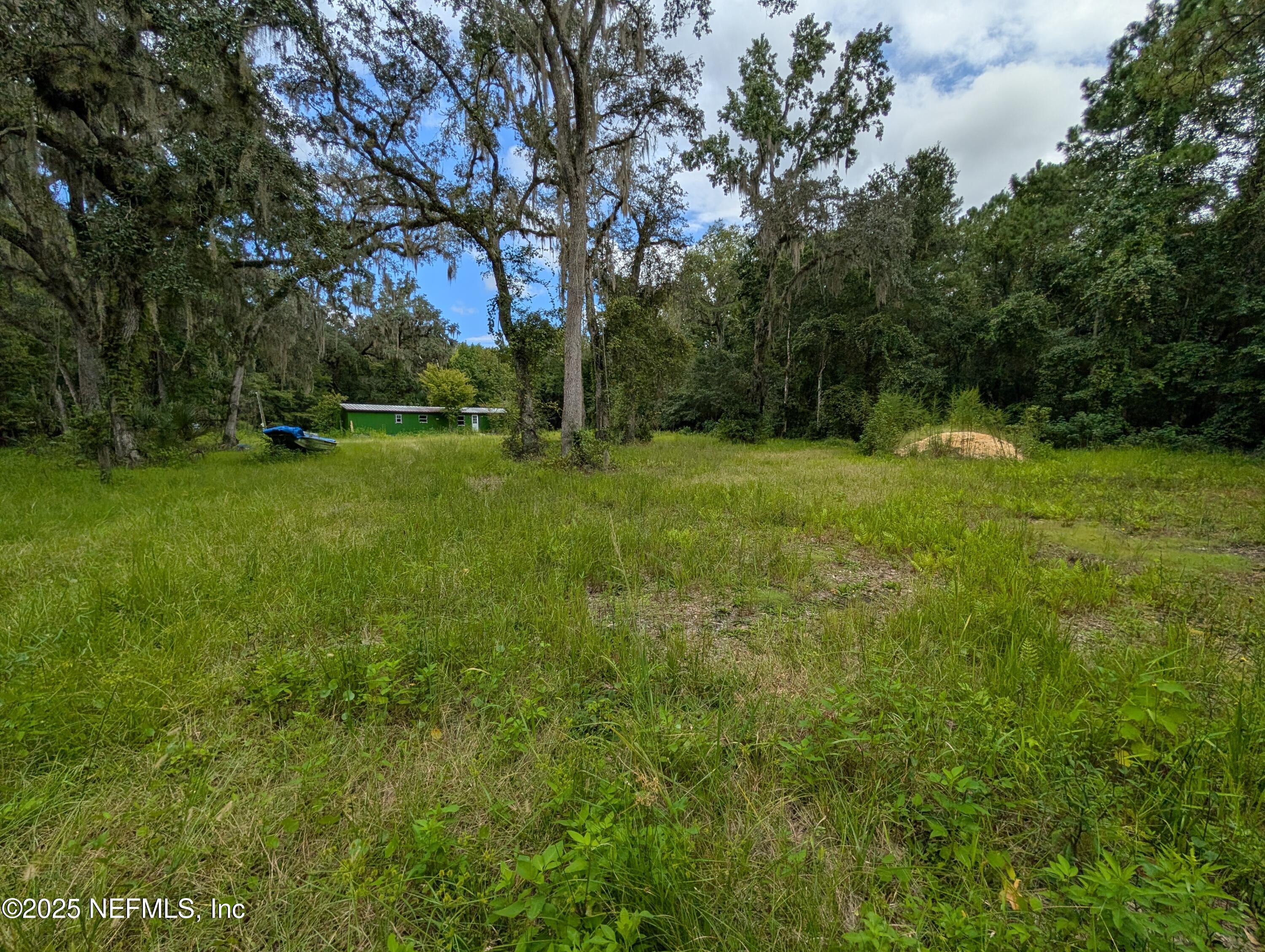 147 Pinetree Road Palatka, FL 32177 - Photo 2 of 17 a view of field with trees in the background