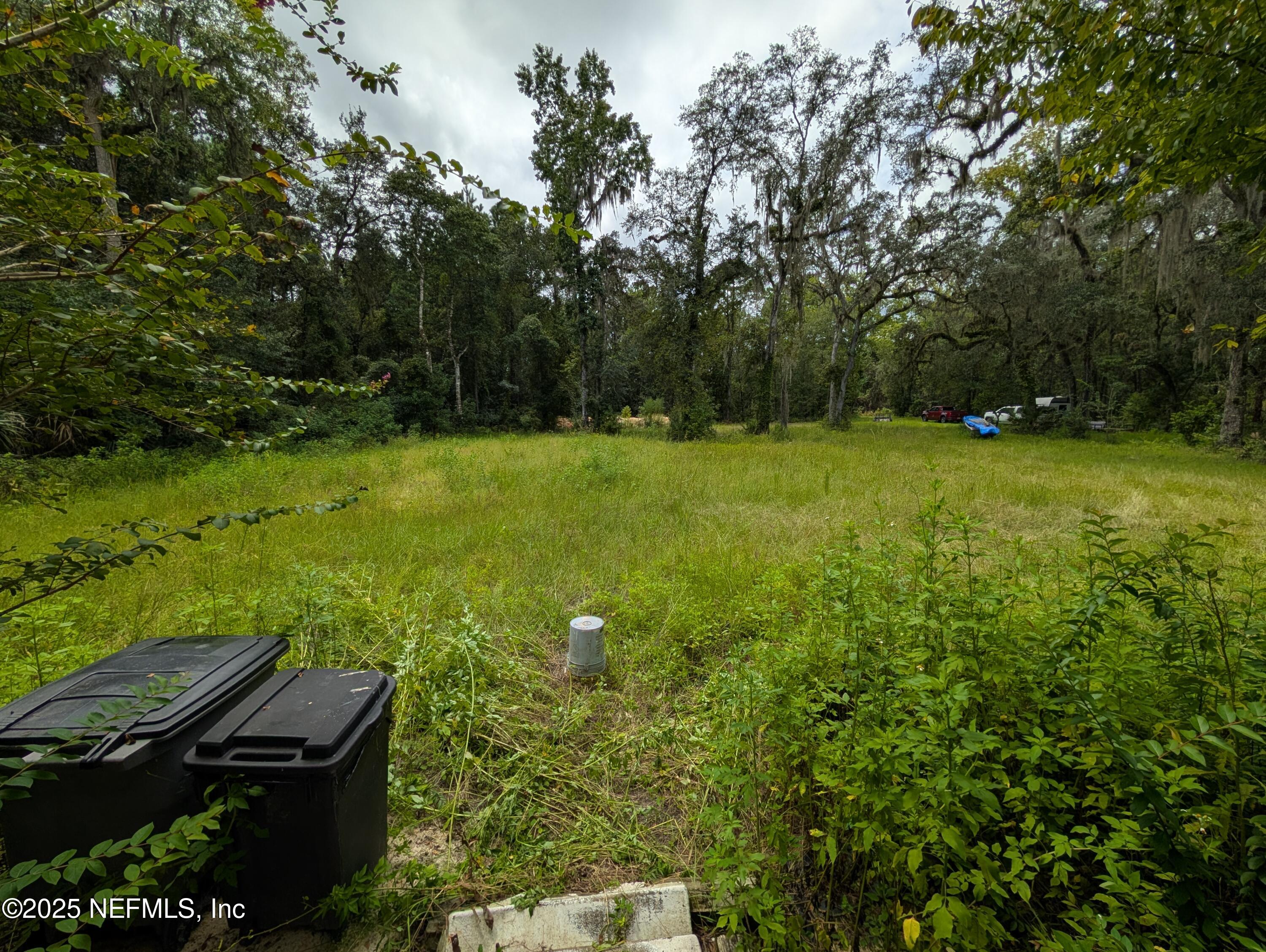 147 Pinetree Road Palatka, FL 32177 - Photo 3 of 17 a view of a backyard with plants and a lots of trees