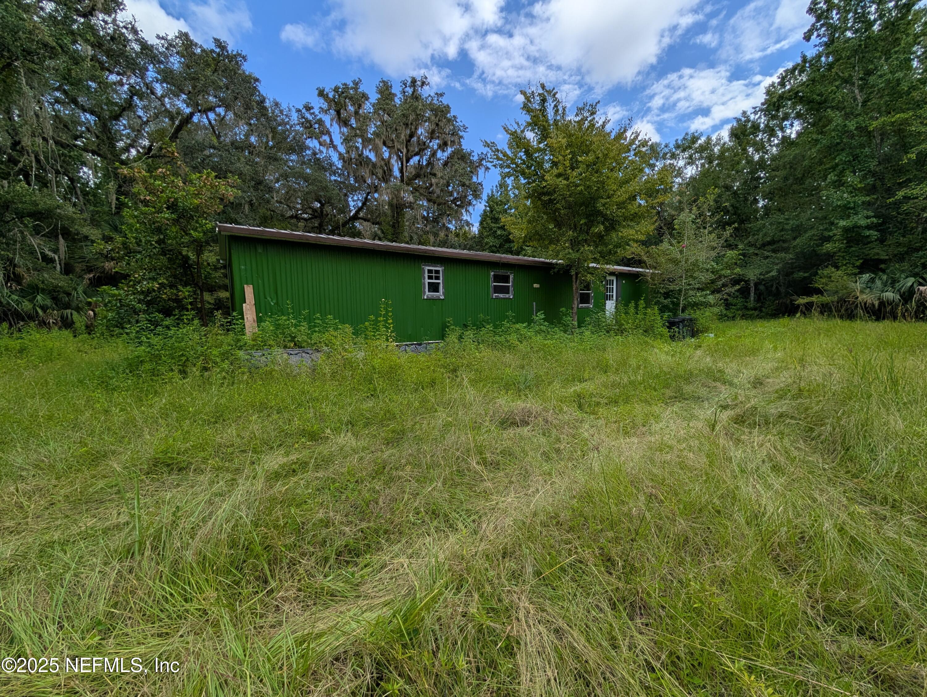 147 Pinetree Road Palatka, FL 32177 - Photo 4 of 17 a backyard of a house with lots of green space